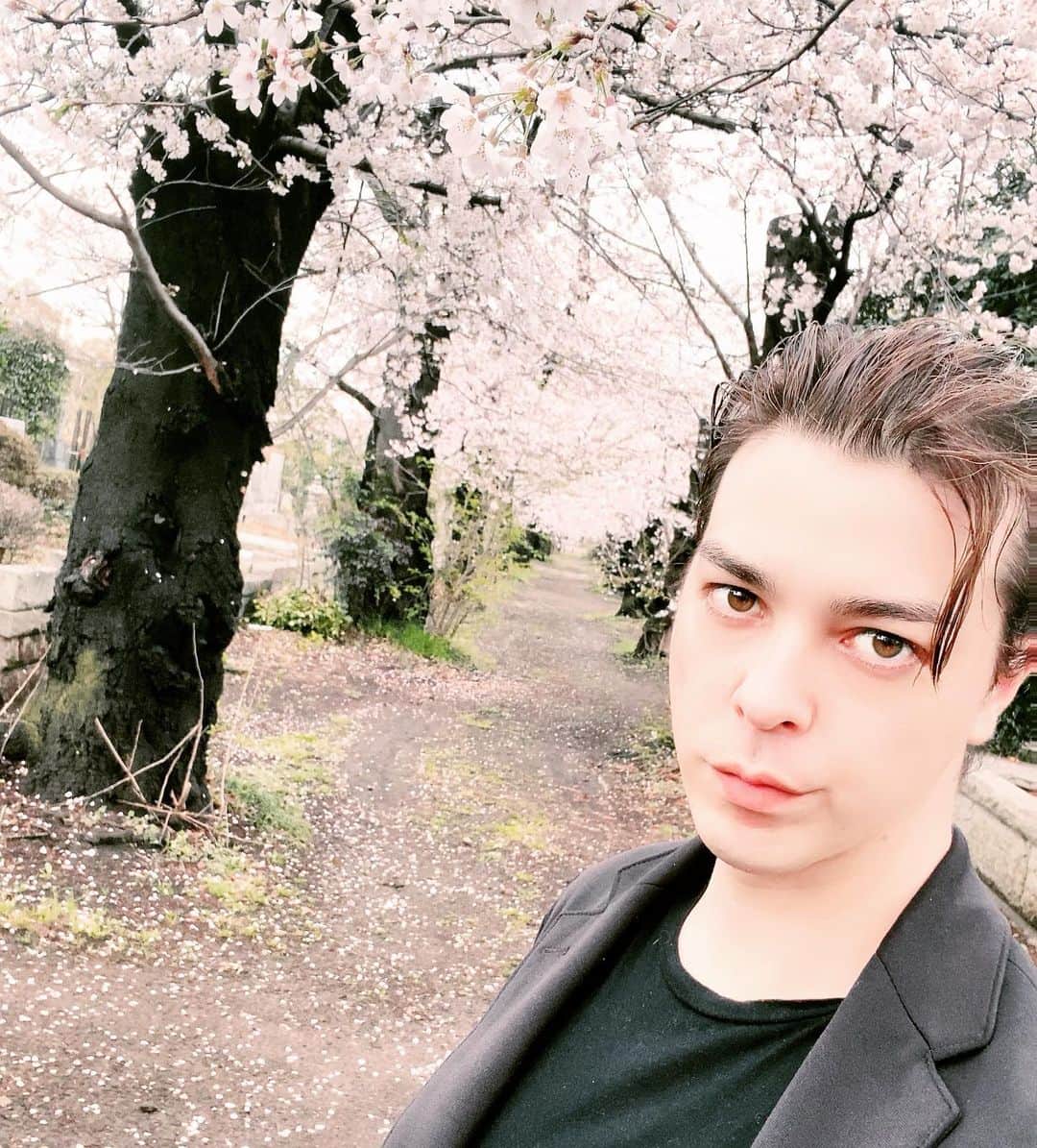 汐崎アイルのインスタグラム：「桜散る前に撮りましてん」