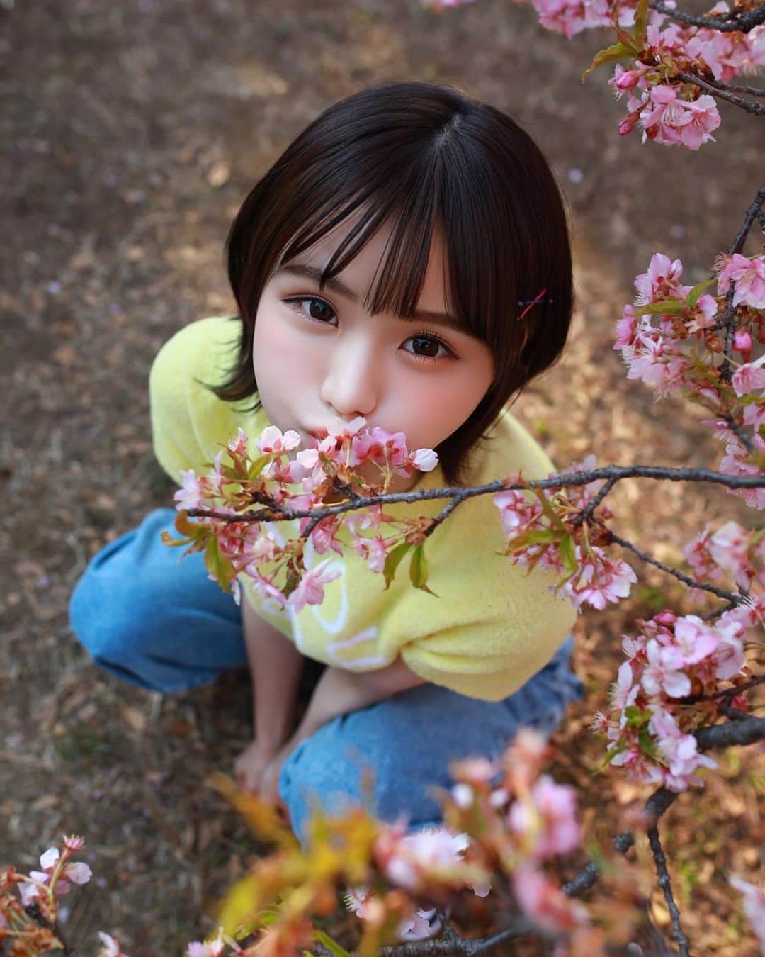 みもれもんさんのインスタグラム写真 - (みもれもんInstagram)「Speaking of spring in Japan! !  It's a cherry blossom 🌸💕  結構前に桜と撮ってもらいました🌸 @sho__hayakawa   #みもれもん #Mimolemon #mimoremon #japanesegirl #水着 #ポートレート#黒髪 #ショートヘア#ボブ #人像攝影 #日本的 #粉我 #日本女孩 #fashion #japan #portrait #代々木公園」4月4日 10時42分 - mimore_mon0929