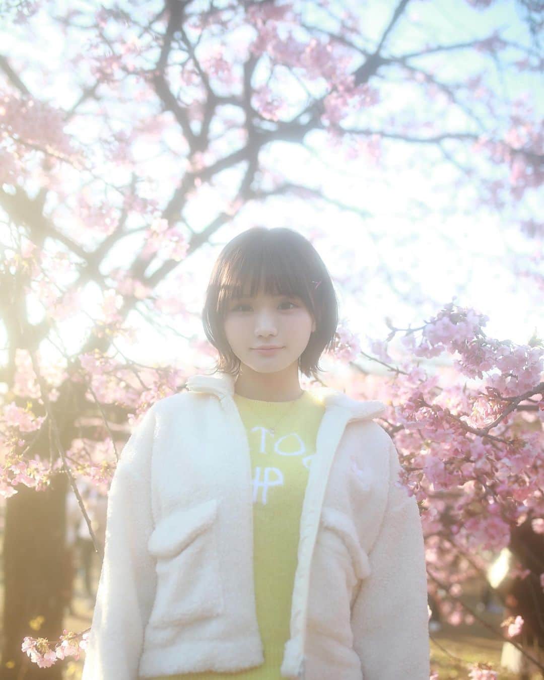 みもれもんのインスタグラム：「Speaking of spring in Japan! !  It's a cherry blossom 🌸💕  結構前に桜と撮ってもらいました🌸 @sho__hayakawa   #みもれもん #Mimolemon #mimoremon #japanesegirl #水着 #ポートレート#黒髪 #ショートヘア#ボブ #人像攝影 #日本的 #粉我 #日本女孩 #fashion #japan #portrait #代々木公園」