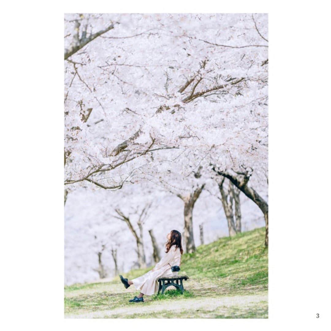 Photobackさんのインスタグラム写真 - (PhotobackInstagram)「本日ご紹介する作品は、 みんなの作品 -STAGE- より、 Tsukasaさまの作品📚  桜を背景に奥さまを撮影された 今の時期にピッタリな作品です✨  奥さまの笑顔がとても印象的で 夫婦仲睦まじい様子が伝わってきます♪  一枚一枚が素敵なお写真で ポートレートや構図を 参考にしたくなりますね🥰  今回の作品で使われたのは ROUGHの36ページ📖 ROUGHは迫力のある大きさが特徴で、 作品集やポートフォリオに最適なアルバムです♪  -------------------- アプリのダウンロードやおトクな情報は Photobackのプロフィールリンクをタップ！ ☟プロフィールはこちらから @photoback.jp -------------------- #photoback #フォトバック #フォトアルバム #フォトブック #フォトブックづくり #アルバム #アルバム作成 #春 #桜 #夫婦フォト #ポートレート」4月4日 18時00分 - photoback.jp