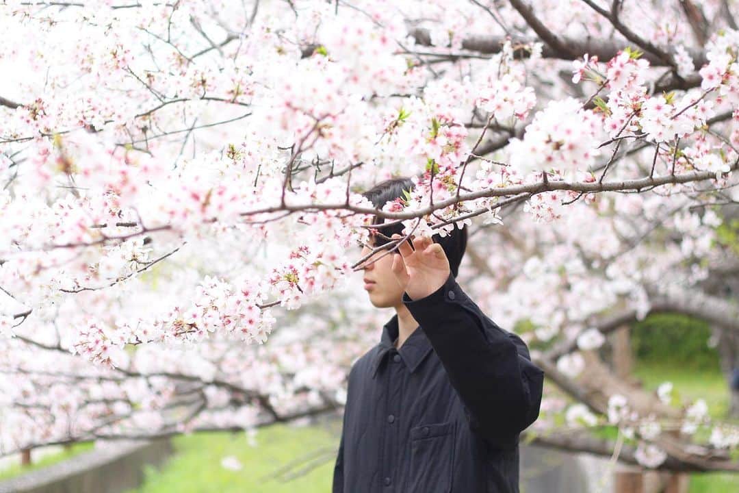 yukaさんのインスタグラム写真 - (yukaInstagram)「桜🌸2023  有名な桜の名所ではなくても、近所で一緒に楽しめて良かったな🌸  #桜 #さくら #桜と息子 #igersjp  #photooftheday #photo_jpn #daily_photo_jpn #pics_jp #東京カメラ部 #good_portraits_world  #genic_mag #写真好きな人と繋がりたい  #何気ない瞬間を残したい #as_archive  #iedemo_graphy #ファインダー越しの私の世界 #関西写真部SHARE #portraitphotography #jp_mood #best_photogram #私の花の写真 #tv_fadingbeauty #best_moment_flower #flowerstagram #ig_flowers #flowerphotography #ひがしみかわ  #クラストコ #豊橋」4月4日 11時15分 - yuka_ff
