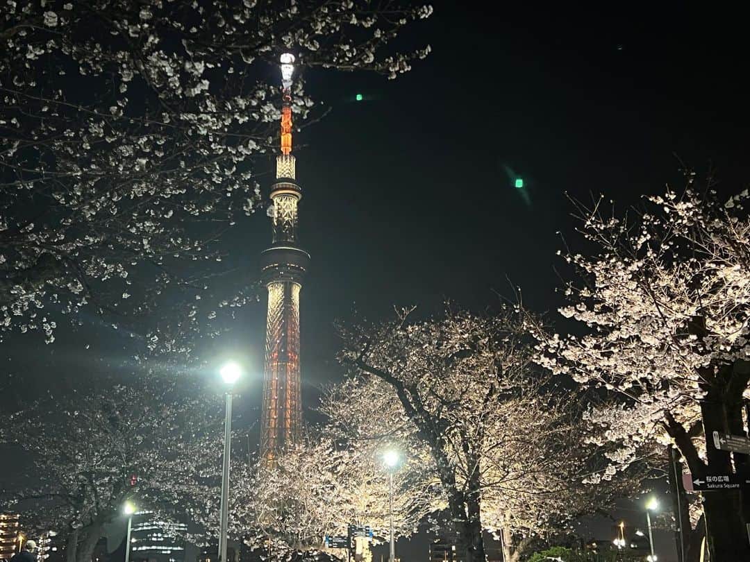 小野崎玲皇のインスタグラム：「今年の夜桜きれいだった🦁 スカイツリーも玲皇カラー！！」