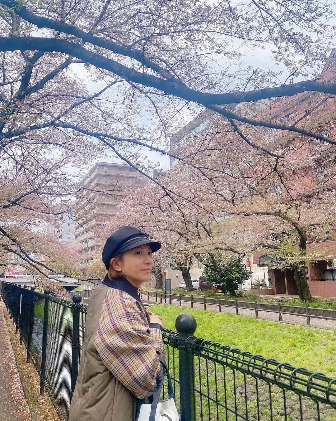 KONANのインスタグラム：「ほぼ葉桜でした🌸🍃 . . タイミング〜😗 . . #🌸 #桜 #葉桜 #散歩 #そろそろ山行きたい #自然てえーよなぁ #いきなりしみじみ 笑」