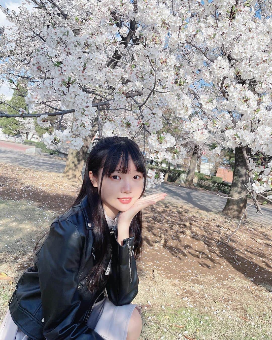 流石夏恋さんのインスタグラム写真 - (流石夏恋Instagram)「🌸  #with桜 💕  今年もキレイに咲いてくれて ありがとう☺️🌸*✲ﾟ*🌸*✲ﾟ*🌸 また来年も楽しみだー！(✿︎´ ꒳ ` )   #桜 #桜スポット #桜の木の下で #🌸   #山梨県 #山梨の桜 #yamanashi_japan   #桜2023 #jc2 #sjc #13歳 #日本の景色」4月4日 12時46分 - karen_ymcitron