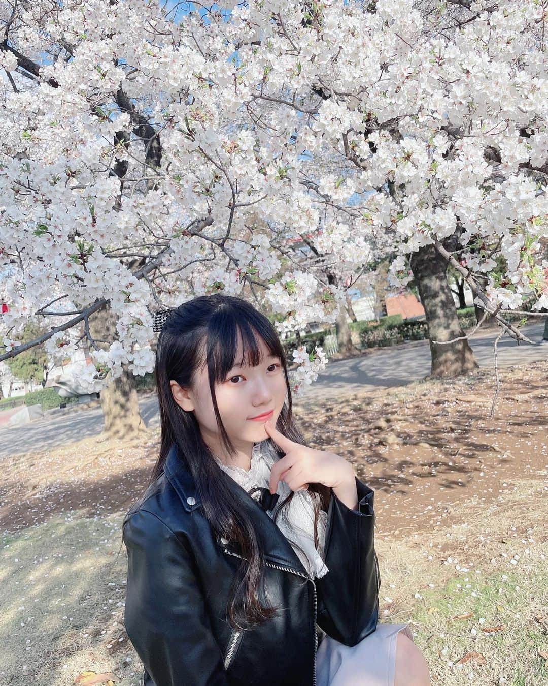 流石夏恋さんのインスタグラム写真 - (流石夏恋Instagram)「🌸  #with桜 💕  今年もキレイに咲いてくれて ありがとう☺️🌸*✲ﾟ*🌸*✲ﾟ*🌸 また来年も楽しみだー！(✿︎´ ꒳ ` )   #桜 #桜スポット #桜の木の下で #🌸   #山梨県 #山梨の桜 #yamanashi_japan   #桜2023 #jc2 #sjc #13歳 #日本の景色」4月4日 12時46分 - karen_ymcitron