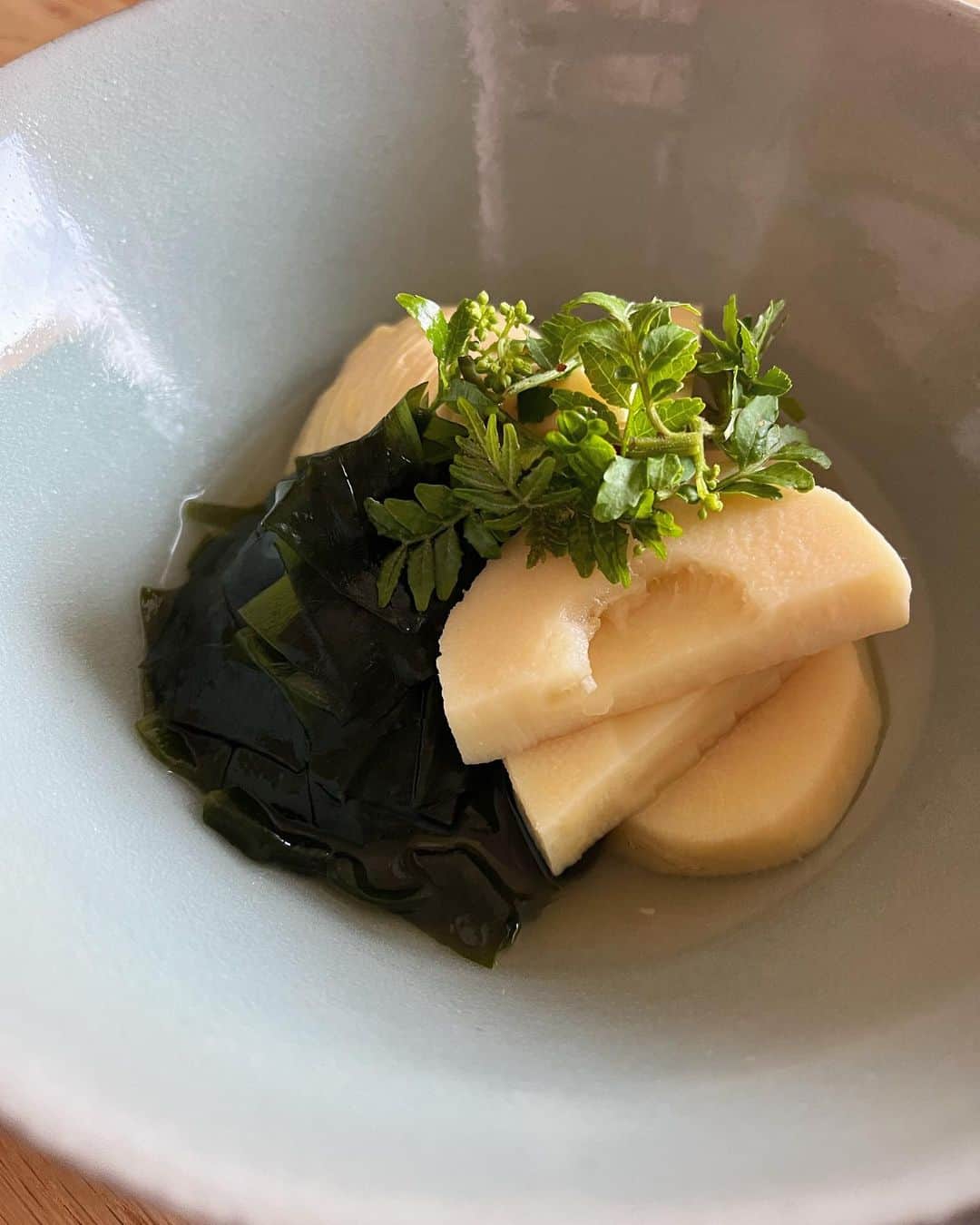 豊田麻子さんのインスタグラム写真 - (豊田麻子Instagram)「コートなしでも出かけられるようになり、外の景色を見るのが楽しくなって、日が長くなってきて、、、筍が食卓に上がる頃合いは心が浮き立ちます😙🌸  #若竹煮　#青磁」4月4日 12時48分 - asako_sen