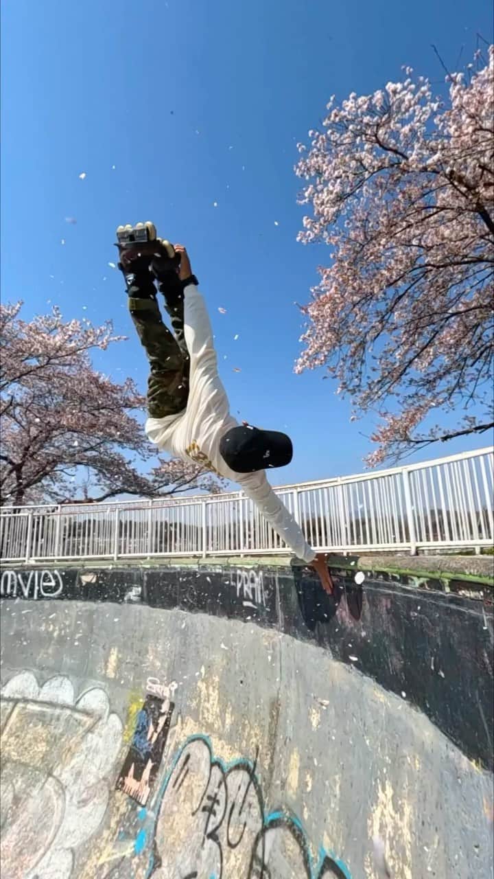 安床武士のインスタグラム：「🌸🌸🌸 🎥 @satoshi.saijo  Camera #goprohero11 @goprojp @gopro  👕 @lzbn_official  @undercoverwheels  @goodskates_inc  @papasu1048  @sport_sunchlorella   #usdskates #usdaeon #aeon68 #yasutokoaeon #undercoverwheels #rollerblading #blading #inlineskate #roller #rollerfreestyle #インラインスケート #ローラーブレード #ローラーフリースタイル #takeshiyasutoko #安床武士 #cherryblossom #🌸 #桜」