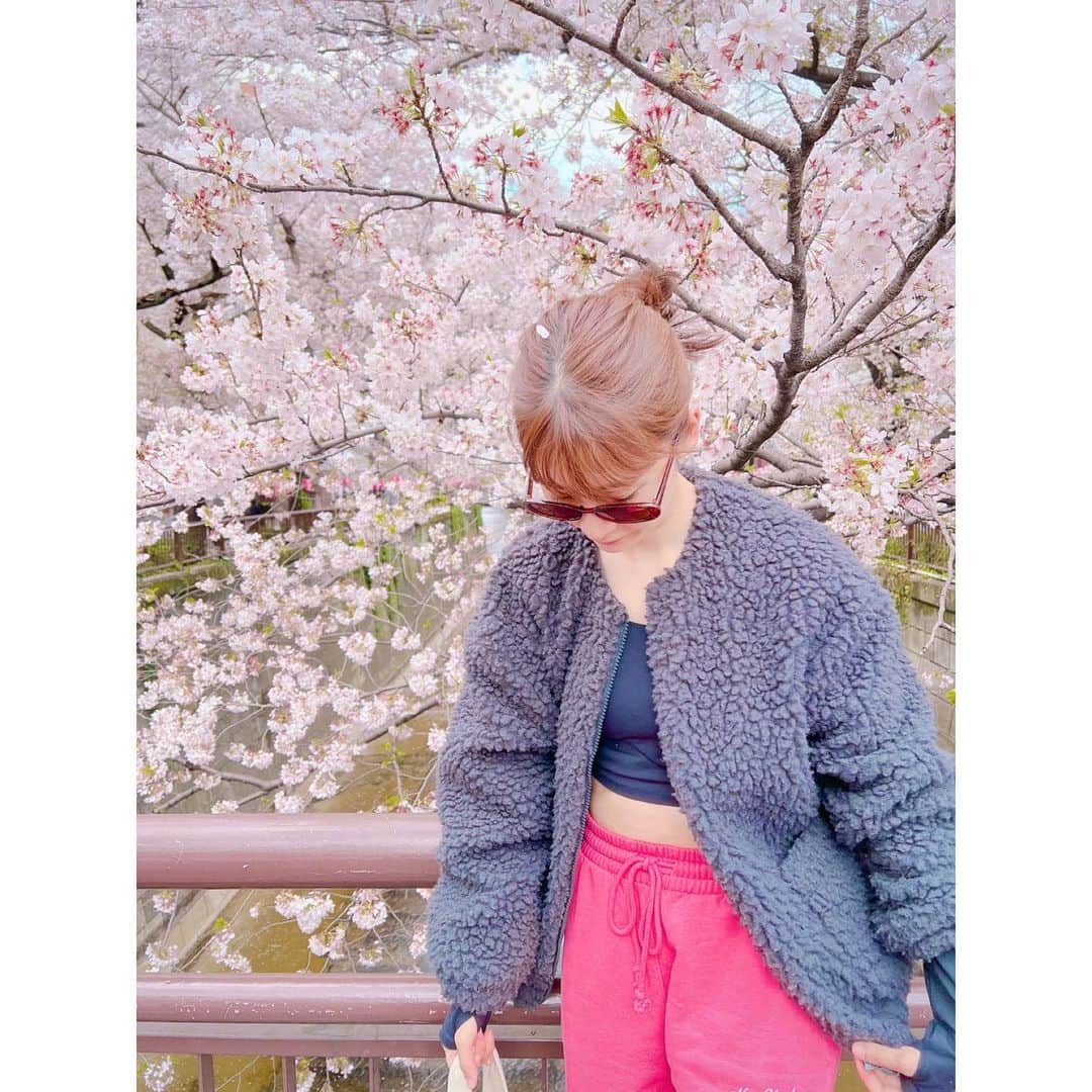 橘美緒さんのインスタグラム写真 - (橘美緒Instagram)「今年も桜は綺麗でした。」4月4日 13時09分 - mio_tachibana