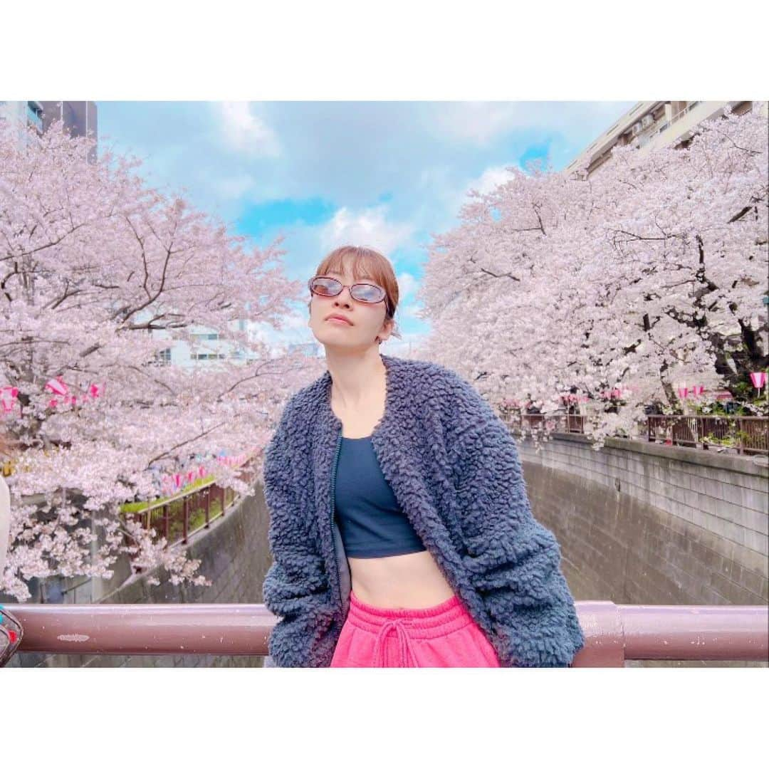 橘美緒のインスタグラム：「今年も桜は綺麗でした。」