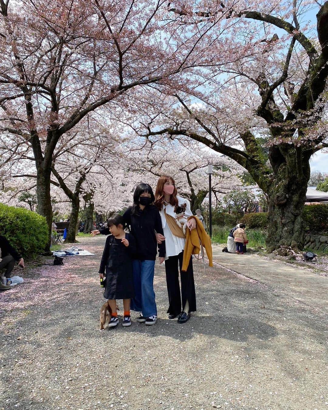 ayuさんのインスタグラム写真 - (ayuInstagram)「🌸🏯 今年も桜のソフトクリームを食べに🍦🩷やっぱり1番好き！」4月4日 13時06分 - memeyuyu