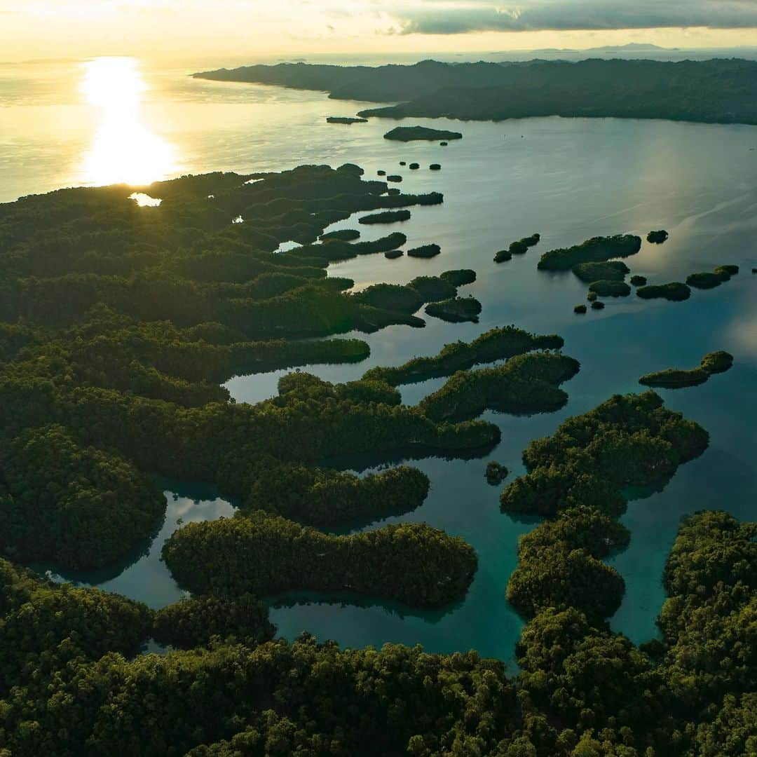 Tim Lamanさんのインスタグラム写真 - (Tim LamanInstagram)「Photos by @TimLaman.  Yes there is a wonderland like this on our very own planet!  Gam Island, Raja Ampat Islands, Indonesia.  The marine life is off the charts, and the scenery is not too shabby either.  Want to visit?  Join our underwater photo workshop in August with @Papua_Explorers resort.  Learn all about it at the link in my bio @TimLaman.  #underwaterphotography #underwaterphotoworkshop #rajaampat #westpapua #indonesia #coralreef」4月4日 13時15分 - timlaman