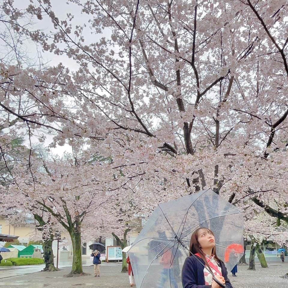 まみむめもちおのインスタグラム：「土砂降りの日にお花見しに靖国神社に行ってきました🚃☔️🌸  雨でも桜は綺麗。  靖国神社は初めて行きました。 どうでもいい話なのですが 昔マッチングアプリで初めて会うことになった人に「靖国神社に行くから最寄りの駅集合で」と言われたことがあって「どんなチョイス笑」と思いながら最寄り駅まで行ったら待ち合わせ時間40分すぎても来なくて、、、  「駅ついたからトイレに行ってから行くね✋」と、LINEが入ってたのでもういるのかと思ったのですが、待っても待っても来なくて倒れてるんじゃないかと思い心配で駅員さんにお願いしてトイレの確認をしてもらいました笑 駅員さんに「一緒に中確認しましょうか👨‍💼」と言われて男子トイレに行ったら誰もいなかったんですよ笑 「いませんね👨‍💼?」って言われて、「はい、そうですね、いませんね、ありがとうございました🙏」と言ってそのまま神社に行かず帰りました。 倒れてなくて良かったけど久しぶりにムカつきすぎて怒りのあまり涙出ました笑 待ち合わせの駅まで数時間、待ち時間40分貴重な時間を無駄にさせたあいつ許せねぇです。  そんな思い出があるので靖国神社は何も悪くないのにいいイメージがなくて笑  でも今回初めてちゃんと行って桜綺麗で素敵な神社で雨でも最高でした☔️🌸♡ いい思い出にアップデート‎♡⃛ ̖́-  行ったことない人は来年にでもぜひ行ってみるといいかもです🤭  みなさんはお花見しましたか? 桜いいですよね。桜餅とか桜のお茶大好き🥰  私は相変わらずもちもちのようです(ﾉ)*´꒳`*(ヾ)   #靖国神社  #お花見  #雨の日」