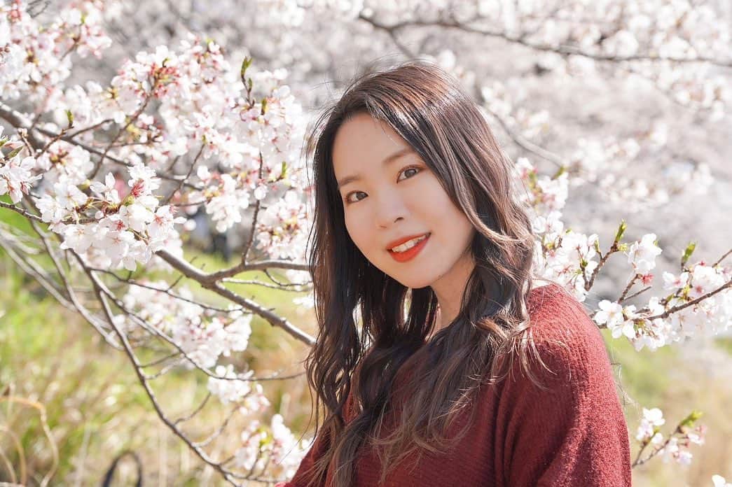 のインスタグラム：「先日事務所の社長と、先輩 CRaNE Sanaeさんと一緒に❣️  桜の下で写真を撮ってきました🌸  綺麗だったな〜🫶 #桜 #桜スポット #さくら #桜ポートレート #浜松 #mutown #伊藤菜々子 #さくら🌸」