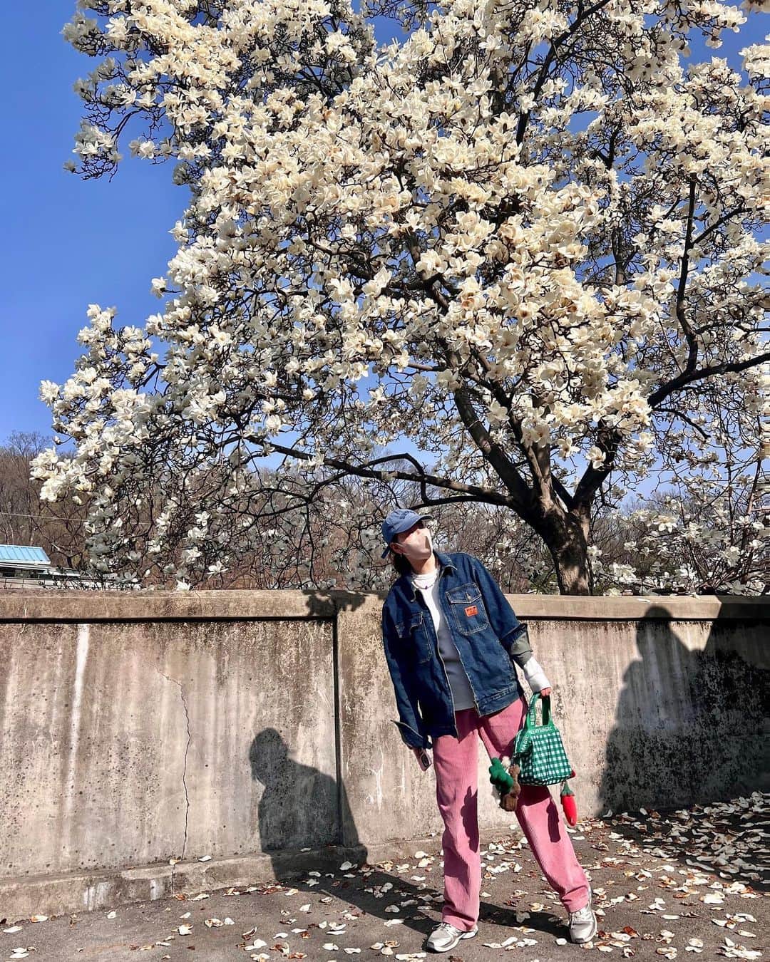 キム・ジェギョン さんのインスタグラム写真 - (キム・ジェギョン Instagram)「3월의기록📷」4月4日 13時50分 - _kimjaekyung_