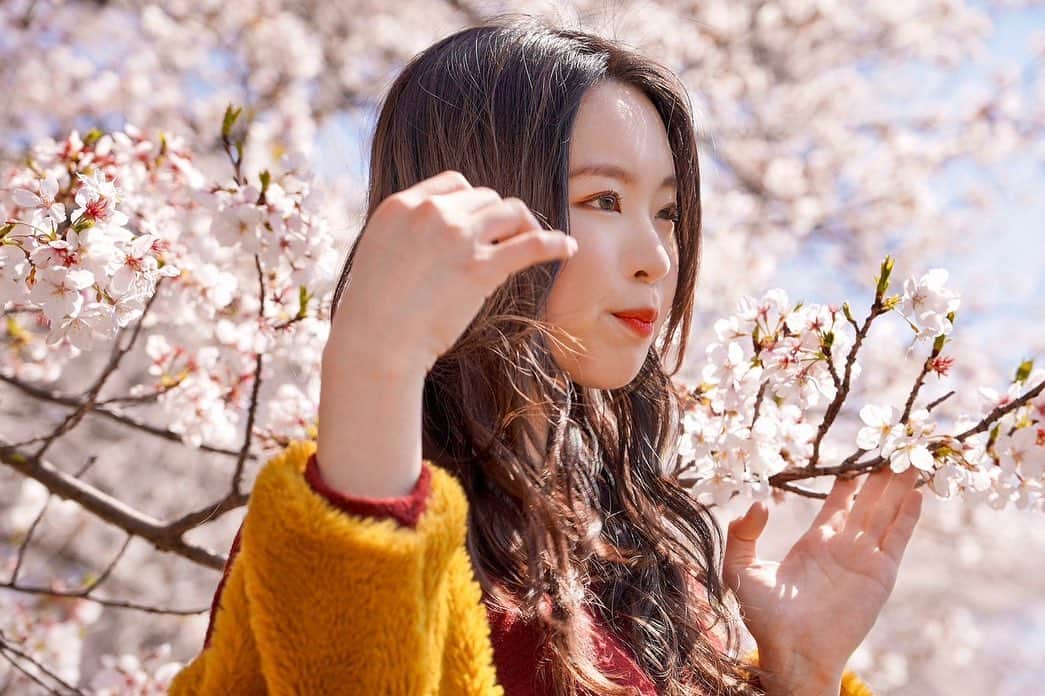 のインスタグラム：「どんなポーズ？w  and 最後の写真は「写真で一言」に使えそう🤣 なんか呼ぼうとしてるよね？？w  先日事務所の社長と、先輩 CRaNE Sanaeさんと一緒に❣️  桜の下で写真を撮ってきました🌸  #桜 #桜スポット #さくら #桜ポートレート #浜松 #mutown #伊藤菜々子 #さくら🌸」