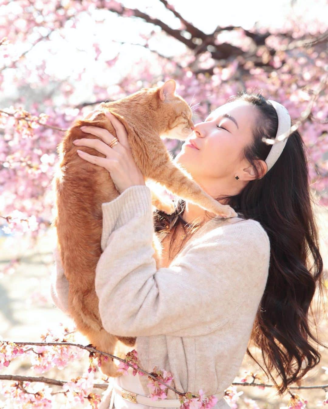 若尾綾香さんのインスタグラム写真 - (若尾綾香Instagram)「☆ 猫と桜🐈🌸 春を愛猫ちゃんと感じた日。 @coco701coco  お散歩は慣れてるけど 地面は歩きたく無い綺麗好きなココ氏。 ペン落としたらり冷蔵庫の上登ったりと 小さなイタズラする所が可愛い。 構って欲しいんだなってわかる。 そんなイタズラも愛おしく一生そばに居たい。 ペットを飼うのは最後まで看取る覚悟と責任が必要で 初めて1人で飼うと決めた時は少し不安もあったけど 一瞬で消え去った。 私の家族で友達で親友でもある🐱❤︎ 最近野良猫虐待のニュース見ると辛くて、、 ココも雨の中死にそうで最後の力振り絞って 鳴いていたのを拾い飼うと決めた保護猫。 野良猫はとても人懐こくて愛情を求めて人に寄ってきてくれるし、生きる力がある。 寄ってきた猫ちゃんには優しく撫でてあげて欲しいな🐈‍⬛💕  #保護猫#野良猫#桜と猫#茶トラ#ちゃとら#ちゃとら猫 #イケメンねこ#愛猫」4月4日 14時01分 - ayaka_wakao