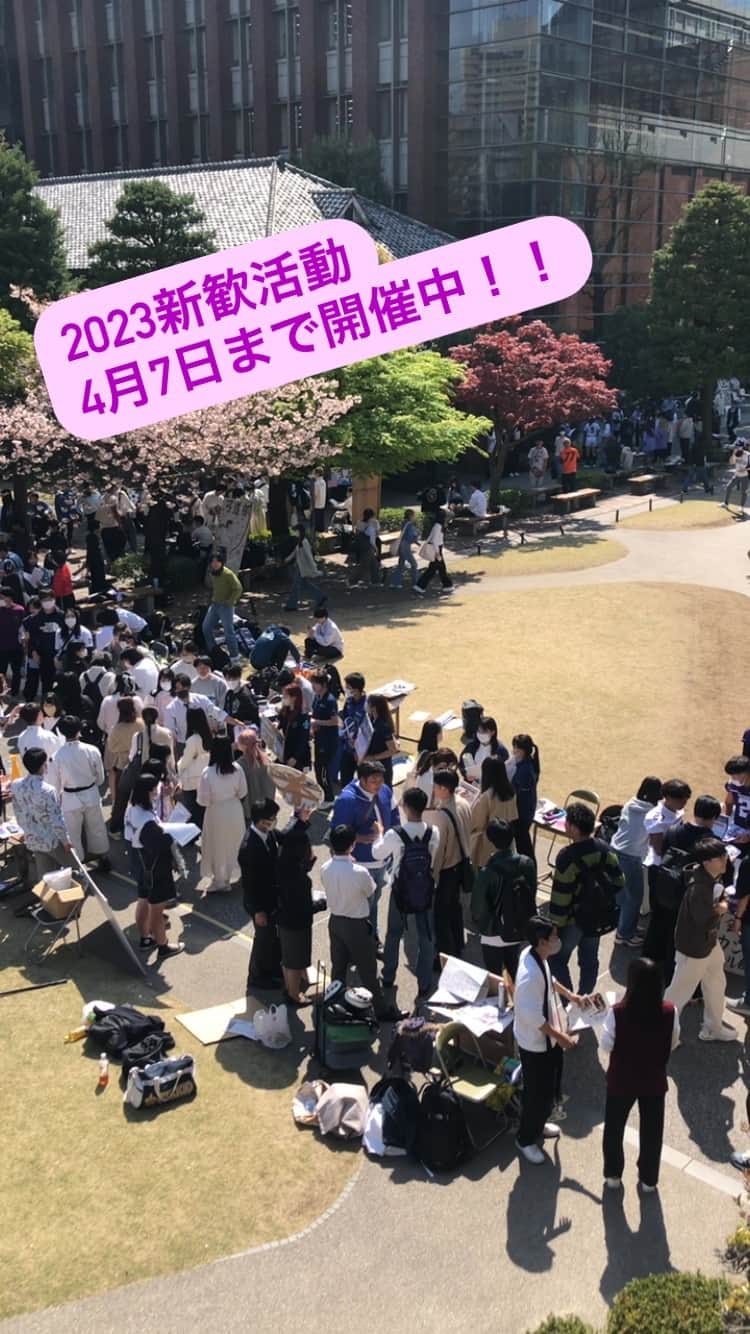 立教大学のインスタグラム：「🌸2023年度 新歓情報🌸 club and circle orientation schedule  ≪池袋キャンパス　Ikebukuro campus≫ 4/3(MON) 9:00 ~ 15:00 4/4(TUE) 9:00 ~ 16:00 4/6(THU) 9:00 ~ 16:00 4/7(FRI) 9:00 ~ 16:00  ≪新座キャンパス　Niiza campus≫ 4/3(MON) 9:00 ~ 15:00 4/5(WED) 9:00 ~ 16:00 4/6(THU) 9:00 ~ 16:00 4/7(FRI) 9:00 ~ 16:00  #春から立教 #立教大学学生部 #立教大学クラブサークル」