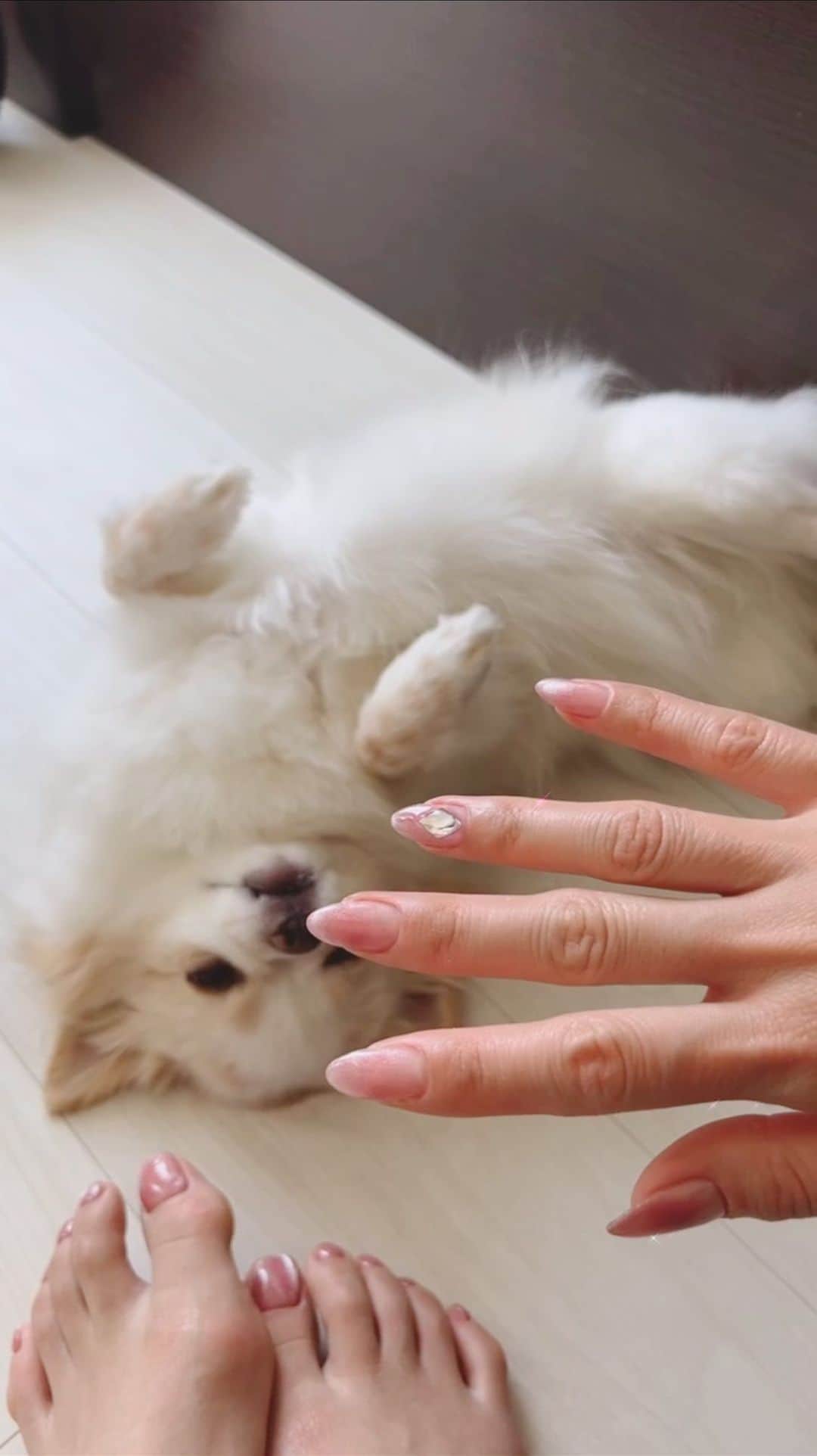 朝風れいのインスタグラム