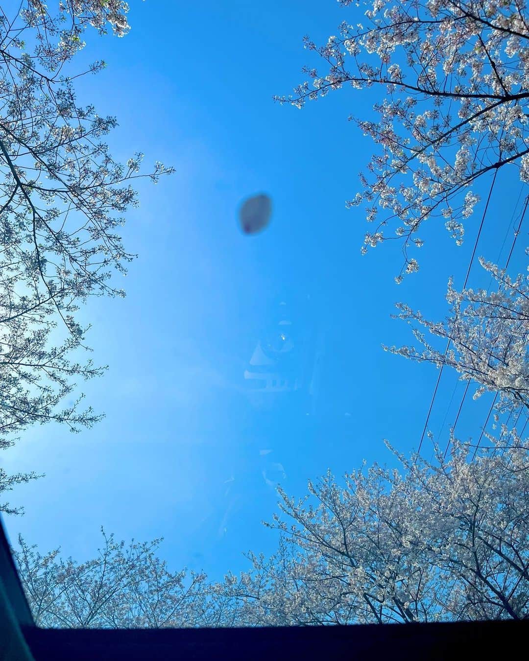 森川葵さんのインスタグラム写真 - (森川葵Instagram)「目覚めの春⛓👖🫧」4月4日 14時21分 - aoi_morikawa0617