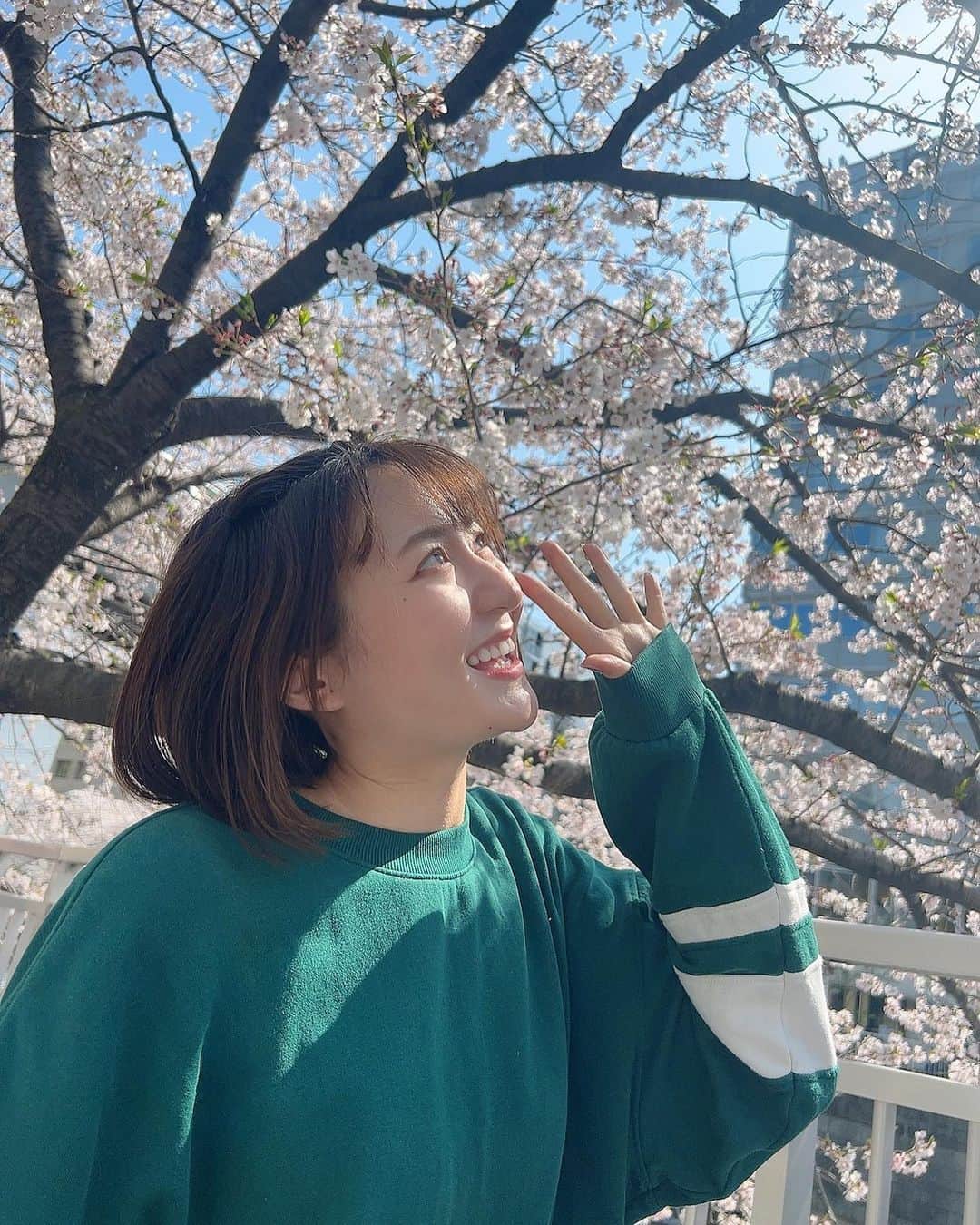 依東杏奈のインスタグラム：「春やね〜🌸 4月もよろしくお願いします！！   #桜  #桜スポット  #春  #sakura  #さくら  #桜の木の下で  #🌸」