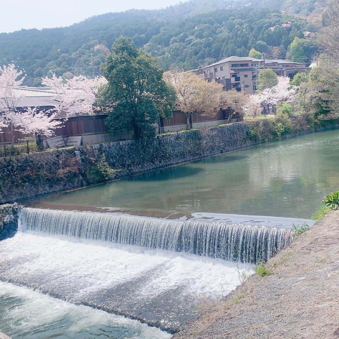 SPARAさんのインスタグラム写真 - (SPARAInstagram)「嵐山へ。 ちょうど桜が満開の時期に見事にマッチしてくれたからいつも以上に景色が楽しめた旅行になりました♡ #京都旅行#京都嵐山#嵐山観光#嵐山の桜#桜の季節#嵐山#嵐山駅」4月4日 15時03分 - spara_aco