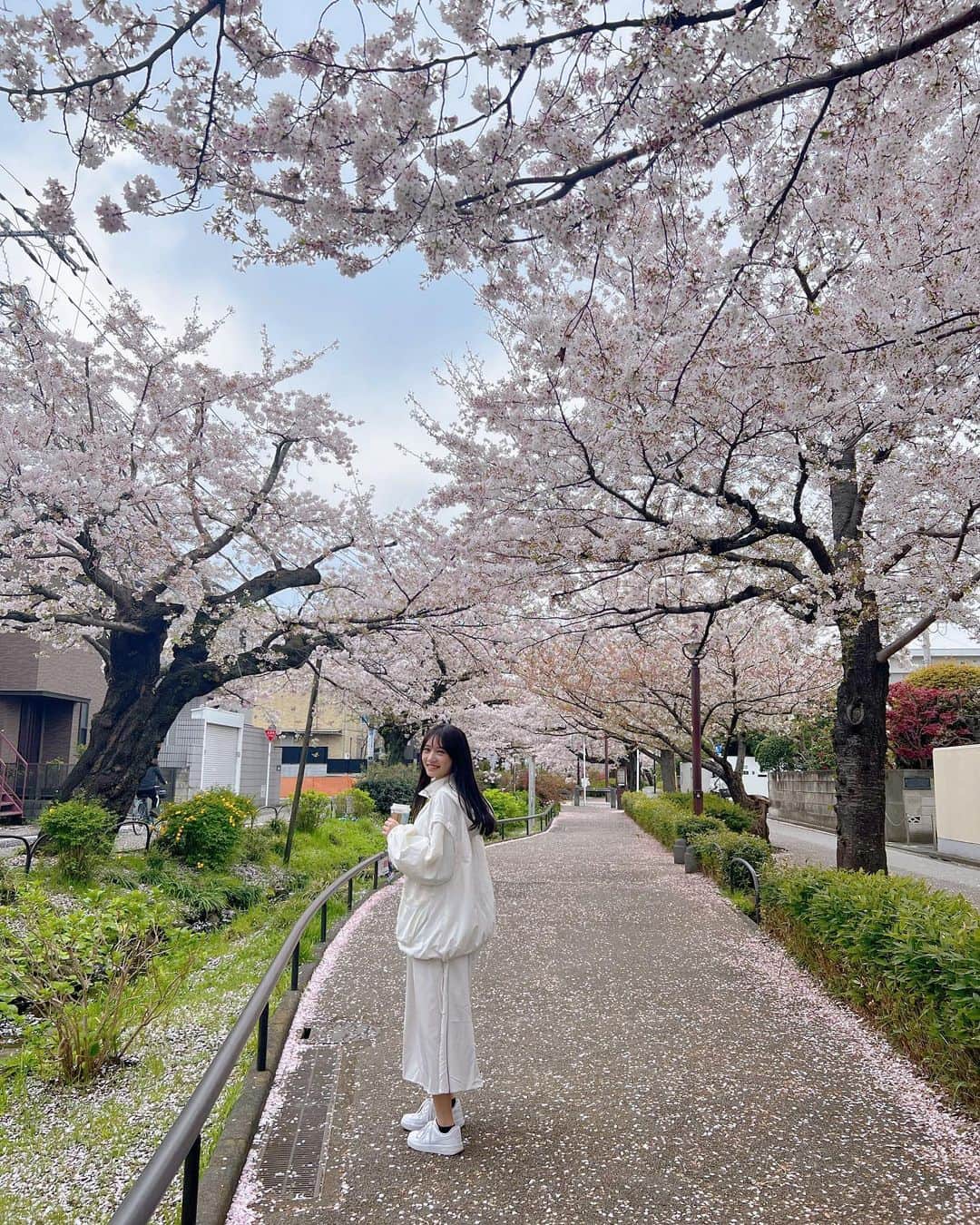 のインスタグラム：「🌸🌸🌸」