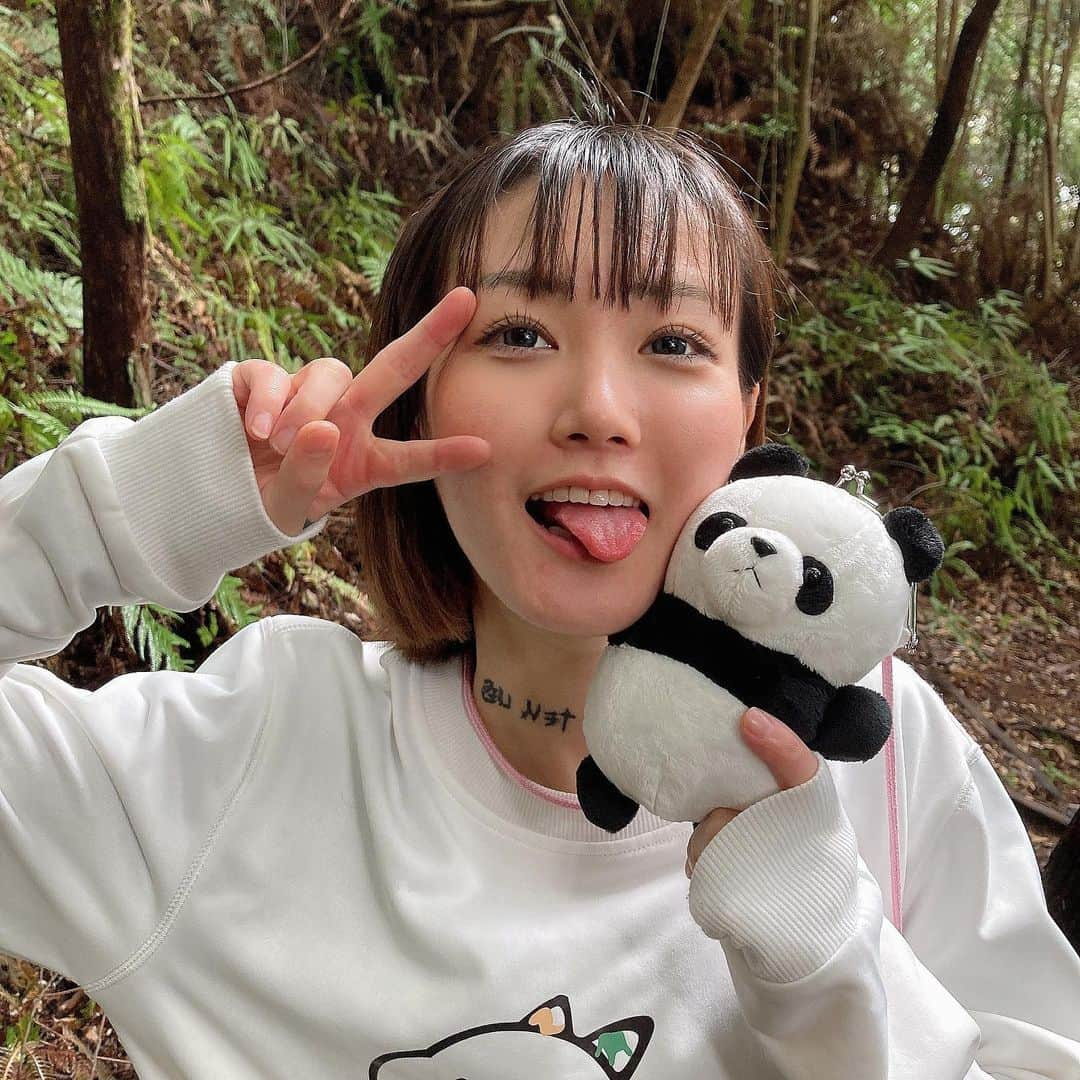 KYAM(きゃむ)さんのインスタグラム写真 - (KYAM(きゃむ)Instagram)「ぱんだひーろー🐼」4月4日 15時08分 - kyamhameha