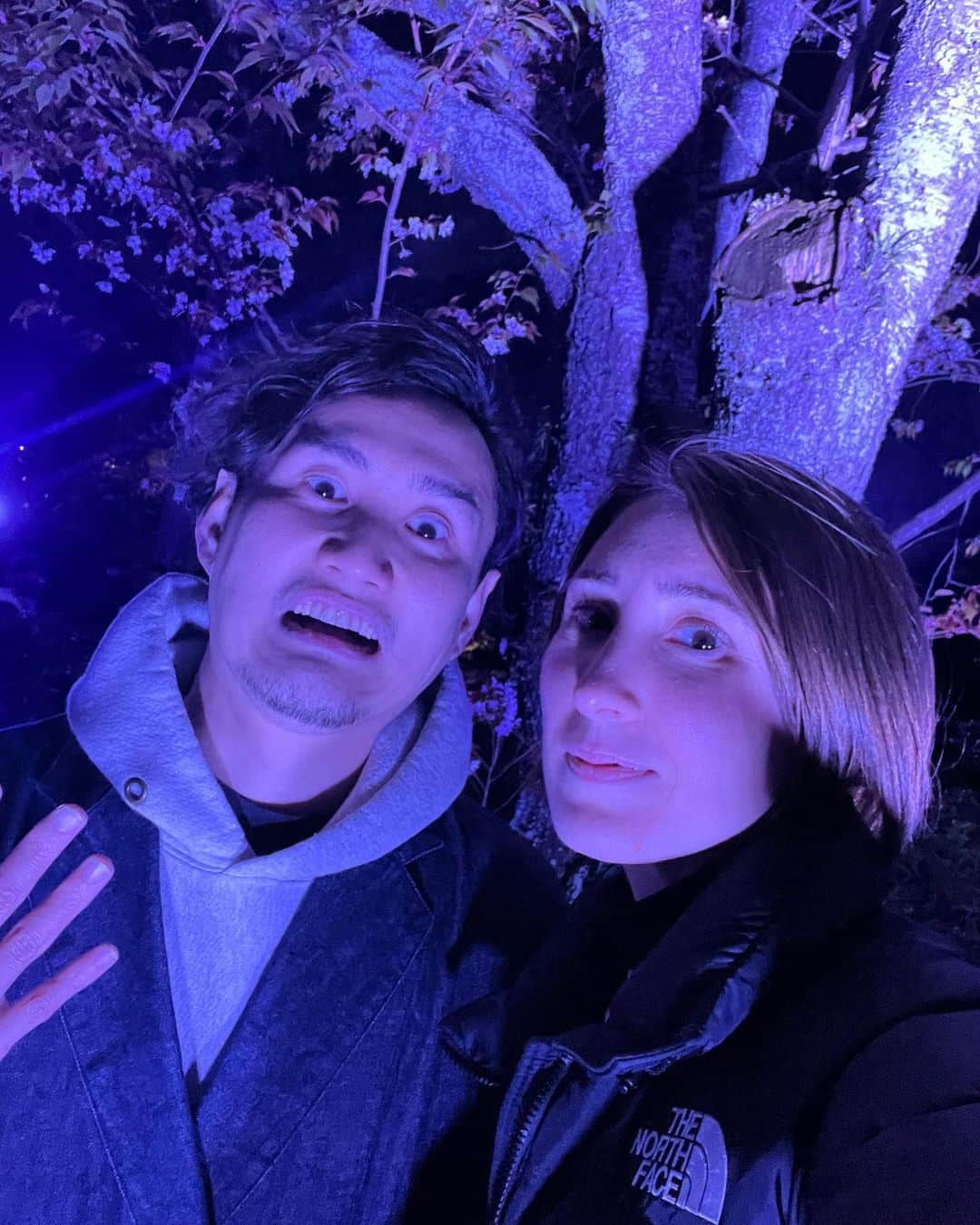 ToriChyanChannelさんのインスタグラム写真 - (ToriChyanChannelInstagram)「夜桜まとめ Ночная сакура 🌙🌸  Кто сказал, что цветением сакуры можно наслаждаться только днем?  Любование сакурой ночью с разнообразной подсветкой и световым шоу в Японии не менее популярно!   А какая сакура вам нравится больше? 🌒Или 🌞?  #fukuoka #japan」4月4日 15時21分 - viktorichyan