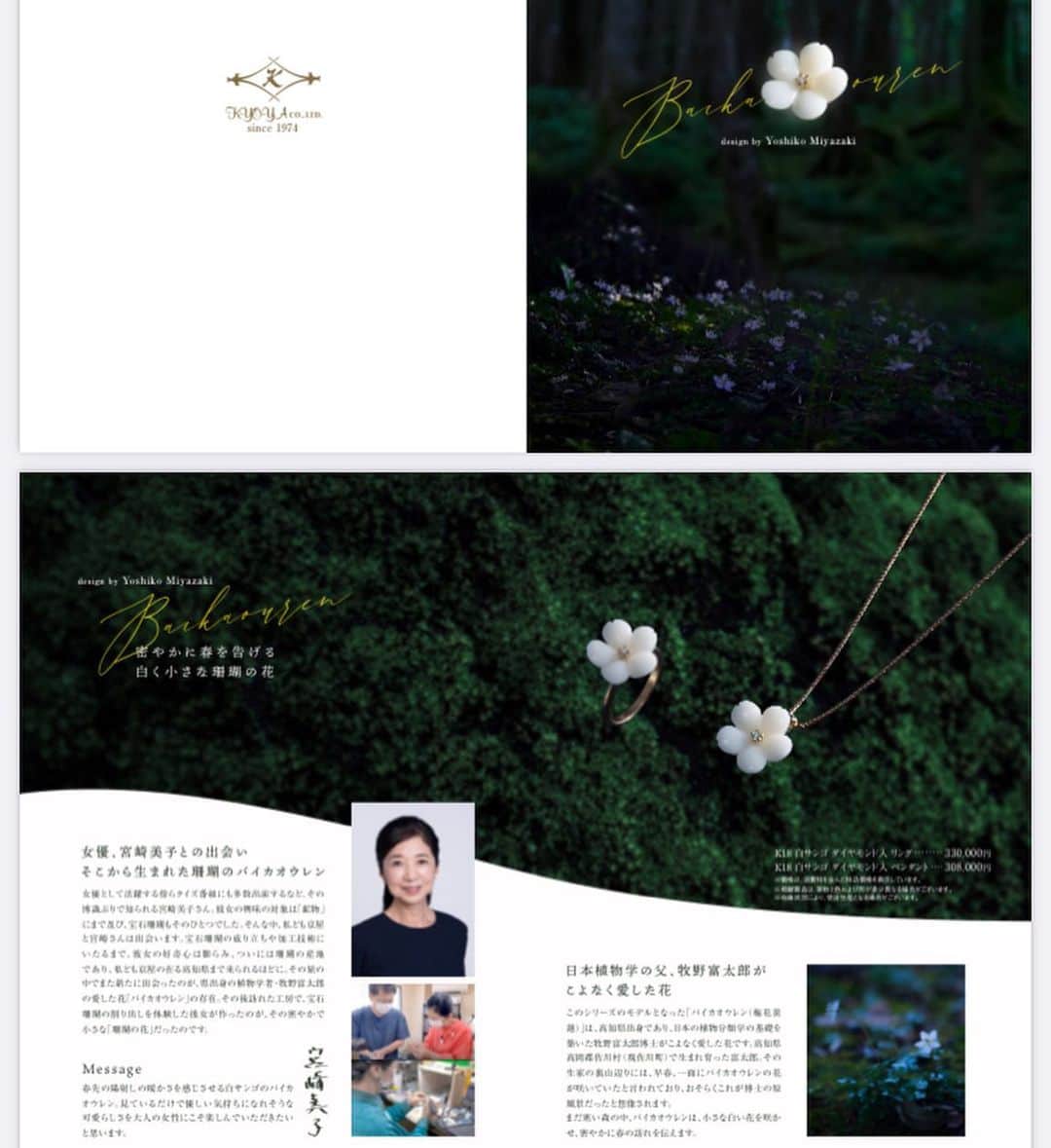 宮崎美子さんのインスタグラム写真 - (宮崎美子Instagram)「皆さま、こんにちは。  出来ましたよ！いよいよ販売開始されました。  私、デザイン？プロデュース？そんな感じのリングと、ペンダントです。  このお花のモチーフは、『バイカオウレン』です。  昨日から始まりました朝ドラ『らんまん』の主人公牧野富太郎さんが、愛したお花です。  可憐な小さな白いお花です。  こちらを貴重な白珊瑚で作っていただきました。 この、私が付けているものは、実際に工房で私も削ったり、少しお手伝いしたのです。  高知にある珊瑚ジュエリーの会社京屋さんで販売しております。 いつも、衣装としてジュエリーをお貸しいただいております。  白い珊瑚がとても貴重なもので、数に限りがあります。  高知の珊瑚京屋さんをぜひ、チェックしてみてください。  #珊瑚 #京屋 #高知 #アジュテアケイ #バイカオウレン #リング #ペンダント」4月4日 15時41分 - miyazakiyoshiko.official