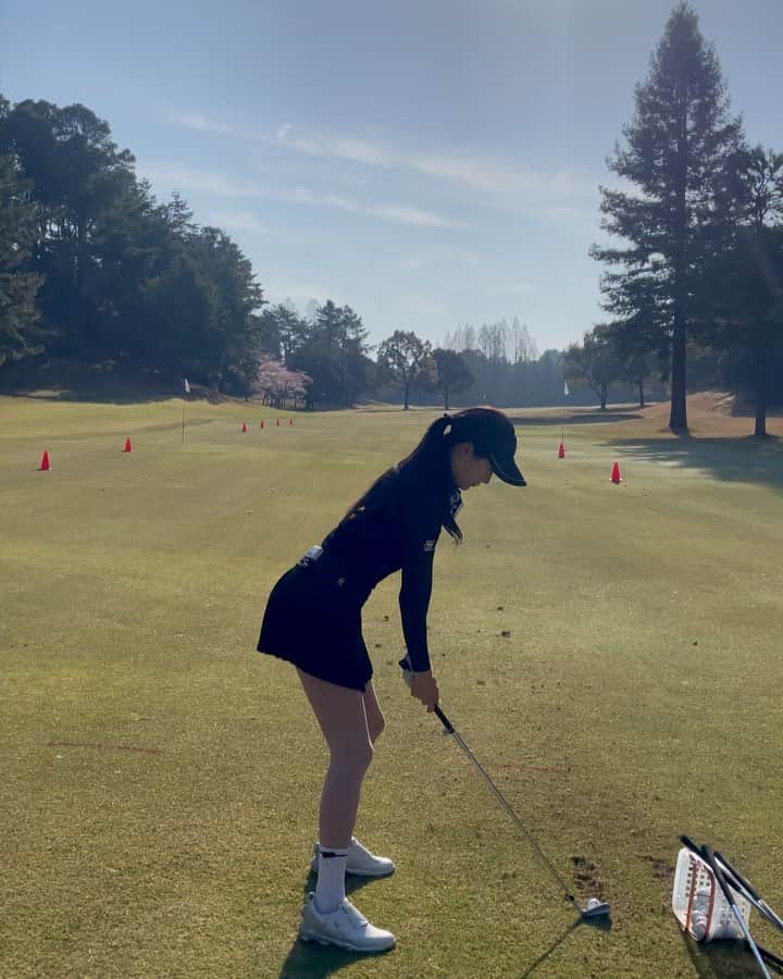 チョン・ジユのグルメインスタ