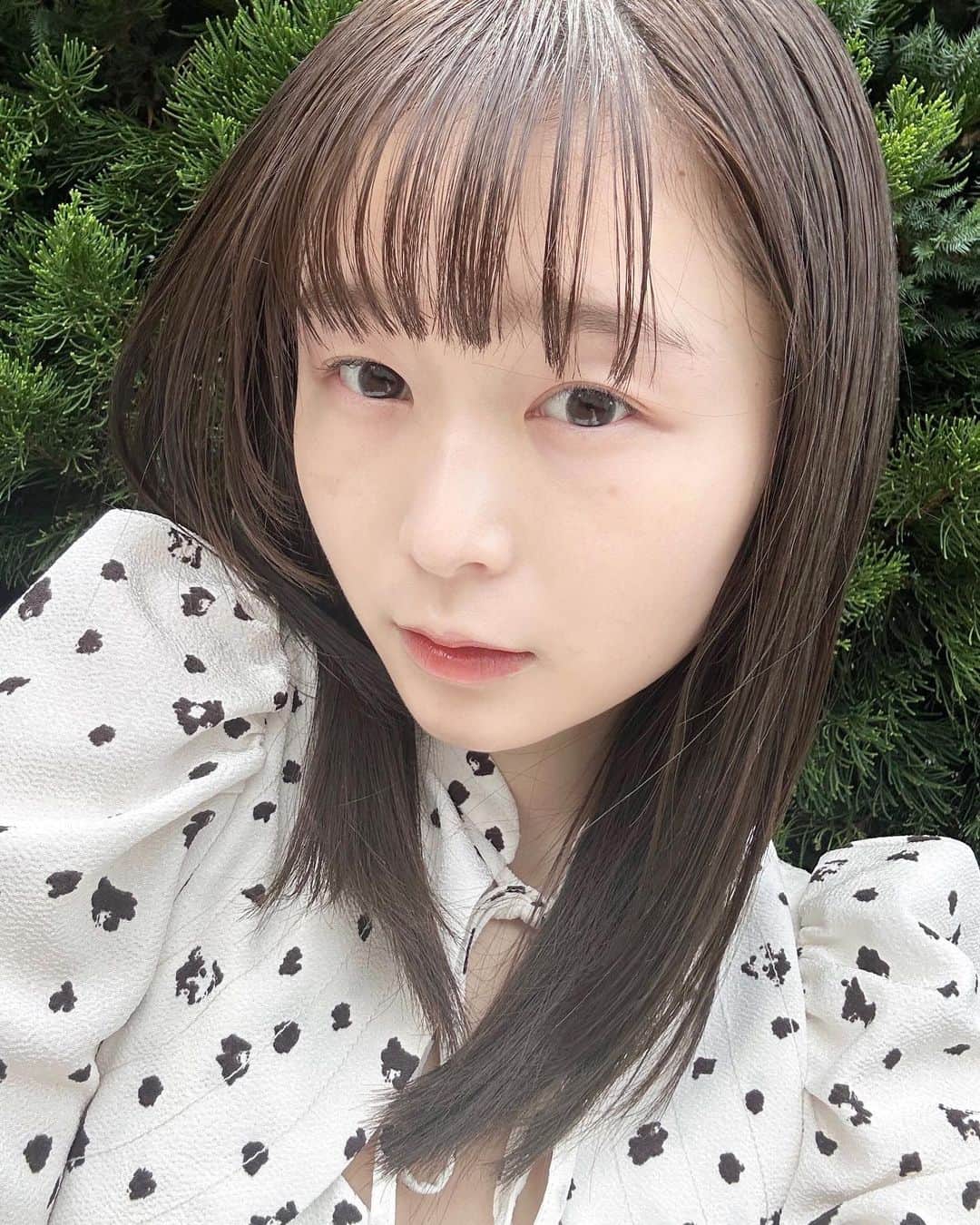 のインスタグラム：「🦨」