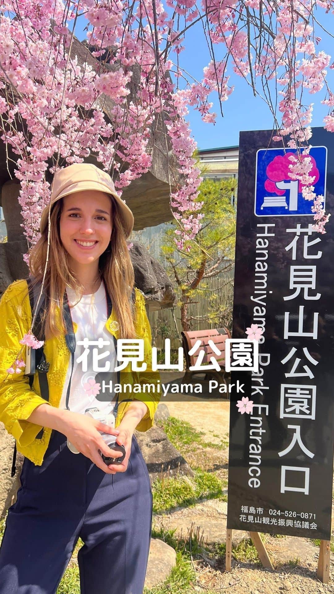 Rediscover Fukushimaのインスタグラム：「Thank you for joining our Facebook livestream today! 🥰💕  Here are some of Hanamiyama’s FAQs:  🌸Where is Hanamiyama Park?🌸  Hanamiyama Park is located in Fukushima City, Fukushima prefecture, Japan!  🌸When is Hanamiyama in full bloom?🌸  Hanamiyama Park has many different flowers, which each bloom at different times (approx. from late March to the end of April). 💐  Most cherry blossom varieties at the park are now in full bloom, so we’d recommend visiting ASAP! You can check daily updates of the park on their social media channels!  🌸Can you go by car?🌸  You can, but it’s more convenient to go by bus, since the parking lot is a little bit far away!   🚌 There is a shuttle bus that runs from Fukushima Station - the round trip costs 500 yen.🚌  🌸How long does it take to see the park?🌸  There are three walking trails, which each take:  🚶30 min. 🚶45 min. 🚶60 min.  We covered the 60 min. one today, and it was so worth it! The view of the city from the top was amazing.   We’d recommend going with plenty of time, as you can easily spend three or four hours there! Especially if you love taking pictures! 🤩  🌸If you have any other questions, please let us know in the comments!   Or check our Facebook livestream to see more (link in stories!)  And don’t forget to save this reel for your next visit to Hanamiyama Park. 🌸  #hanamiyama #hanami #visitfukushima #fukushima #japan #japanese #japantrip #japantravel #beautifuldestinations #visitjapanjp #visitjapanes #visitjapanus #visitjapanca #visitjapanfr #sakura #springinjapan #aprilinjapan #tohoku #wanderlust #japanlover #flowerview #flowerviewing #sakuratime #cherryblossoms #flowers #fukushimaprefecture #fukushimagram #travel #travelgram #hanamiyamapark」