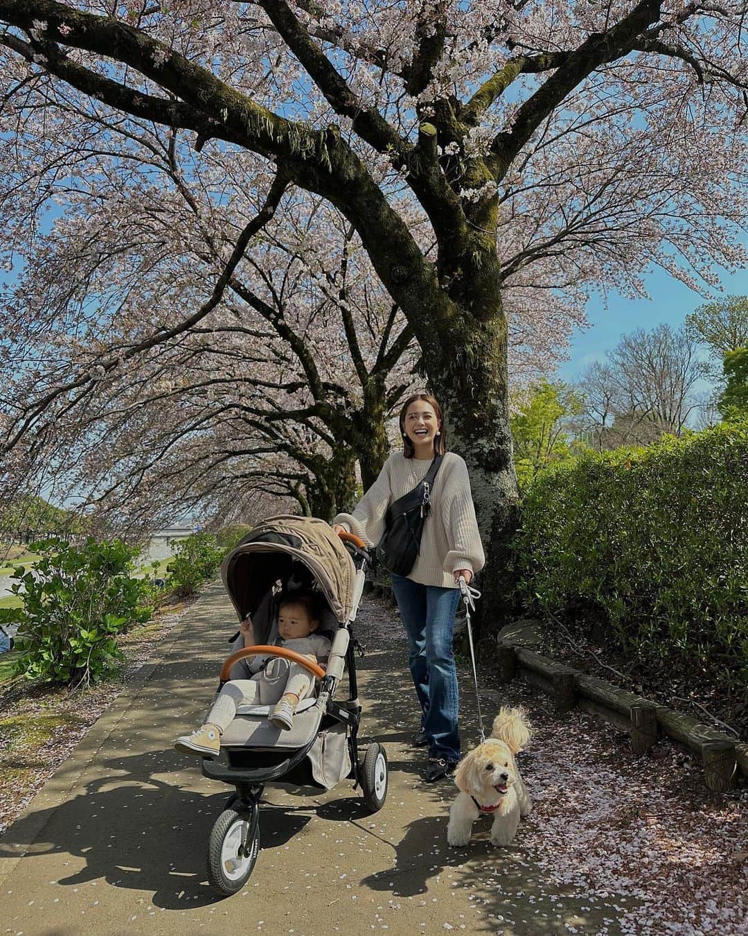 山本いさ奈のインスタグラム