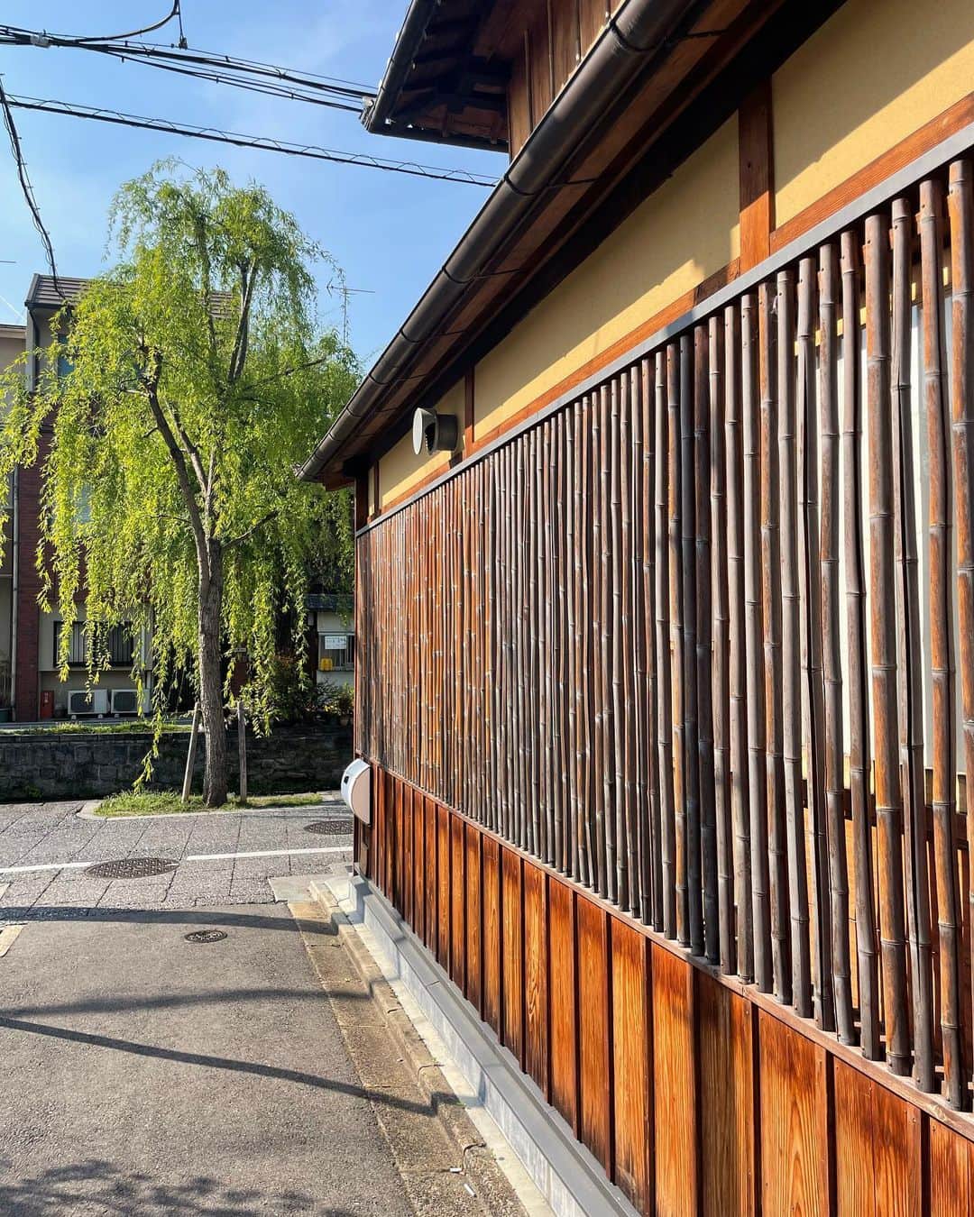 倉地美晴さんのインスタグラム写真 - (倉地美晴Instagram)「・ 久しぶりの京都⛩🌸 満喫します！！  #🌸 #京都」4月4日 16時29分 - miharu_kurachi