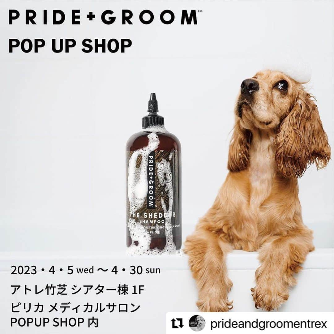 entre squareのインスタグラム：「#Repost @prideandgroomentrex with @use.repost ・・・ アトレ竹芝 シアター棟 1Fにて ペットイベントの開催です！  PRIDE+GROOMも参加していますので、皆さんぜひお越しください！  2023年4月5日（水） ～4月30日（日）まで  毎日 セミナー＆ワークショップの開催をしています。  《セミナー》 手作りごはんミニ講座①ウチのコにあったごはんの考え方 4月16日（日）11時30分～13時 4月29日（土）14時～15時30分  手作りごはんミニ講座②ウチのコが食べてるフードの原材料ラベルを読んでみよう 4月16日（日）14時～15時30分 4月29日（土）16時30分～18時  ペット防災〜災害に備えて今できること〜防災手帳を利用しよう！ 4月22日(土)13時30分〜15時30分  うちのコと笑顔ですごすハッピーシニアライフ♡〜飼い主さんが安心できるハッピーシニアケア＆グリーフケアの視点でのハッピーエンディング〜 4月15日（土）11時30分〜13時 4月22日（土）11時30分〜13時  愛犬の終活 準備していますか？ ～シニアに向けて今からできること～ 4月7日（金）13時～14時 4月26日（水）12時30分～13時30分  《ワークショップ》 お家でできる健康チェック ～その触り方、優しいタッチに変えてみよう～ 4月7日（金） 14時30分～15時30分 4月10日（月）11時30分～12時30分 4月26日（水）14時～15時  愛犬のおうちケア・ワンコフィットネス 4月5日 15時〜16時30分  愛犬のおうちケア・マッサージ 4月12日 15時〜16時30分  歯磨き教室 4月14日 13時～13時40分 4月24日 13時～13時40分  交流磁気と高濃度酸素でイキイキ、ピチピチのメカニズム 4月17日 （月）13時〜、15時30分〜 4月28日 （金）13時〜、15時30分〜  北欧の古代文字ルーンで読み解くペットのお名前 4月11日（火）17時～18時30分 4月16日（日）16時～17時30分 4月18日（火）11時30分～13時 4月23日（日）14月25日（火）14時～15時30分  《クラフト講座》 明日から我が子にやってあげられる！手作りメディカルアロマとペットマッサージ 4月6日（木）①13時～14時 ②15時～16時 ③17時～18時 4月13日（木）①13時～14時 ②15時～16時 ③17時～18時  ミニ解説付き アロマで作る虫除けミスト 4月29日（土）11時30分～12時30分 ※保護者が一緒であればお子様の参加もOK  フランスの精油を使って香りを楽しもう スプレー 4月23日（日） ①11:30〜12:20 ②12:30〜13:20 ③13:30〜14:20 ④14:30〜15:20 4月30日（日） ①11:30〜12:20 ②12:30〜13:20 ③13:30〜14:20 ④14:30〜15:20 ※ペットを飼ってない方も大歓迎  動物柄の布で作ろう！かわいいがま口3点セット 4月11日（火）11時30分〜13時 4月18日（火）14時〜15時30分 4月25日（火）17時～18時30分  愛犬・愛猫の写真で可愛いカードケースをつくろう！ 4月11日（火）14時〜16時 4月18日（火）17時～19時 4月25日（火）11時30分～13時 ※写真（Lサイズプリント）を2枚ご持参ください。  ≪撮影会≫ 撮影アドバイス付き・プロカメラマンによる愛犬撮影会 4月15日（土）14時20分〜19時 1枠20分 4月19日（水） 12時〜15時 1枠20分 ※データお渡し等、オプションあり  【お席に限りがありますので、事前予約をお願いします。】 各セミナー・ワークショップ申込 お問い合わせは→ @pirica_official  まで。   #プライドドッグ #ペットイベント #prideandgroom #pridedog #dogshampoo #petshampoo #frenchbulldog #frenchie #プライドアンドグルーム #プライドドッグ #ペットシャンプー #ドッグシャンプー #ペットのいる暮らし  #わんちゃん好きと繋がりたい」