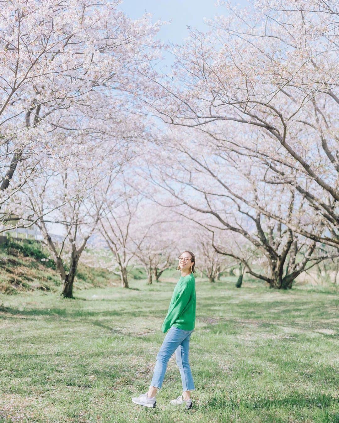 AZさんのインスタグラム写真 - (AZInstagram)「🌸🌸🌸🌿  引きこもりっぱなしで絶賛煮詰まってた所に 辺り一面ピンクとグリーンの景色。 はぁーー癒されたーー  今年の桜も綺麗だったね。 最高のお天気、ありがとう💓  📸 @studiodandm」4月4日 16時41分 - az.momoharu