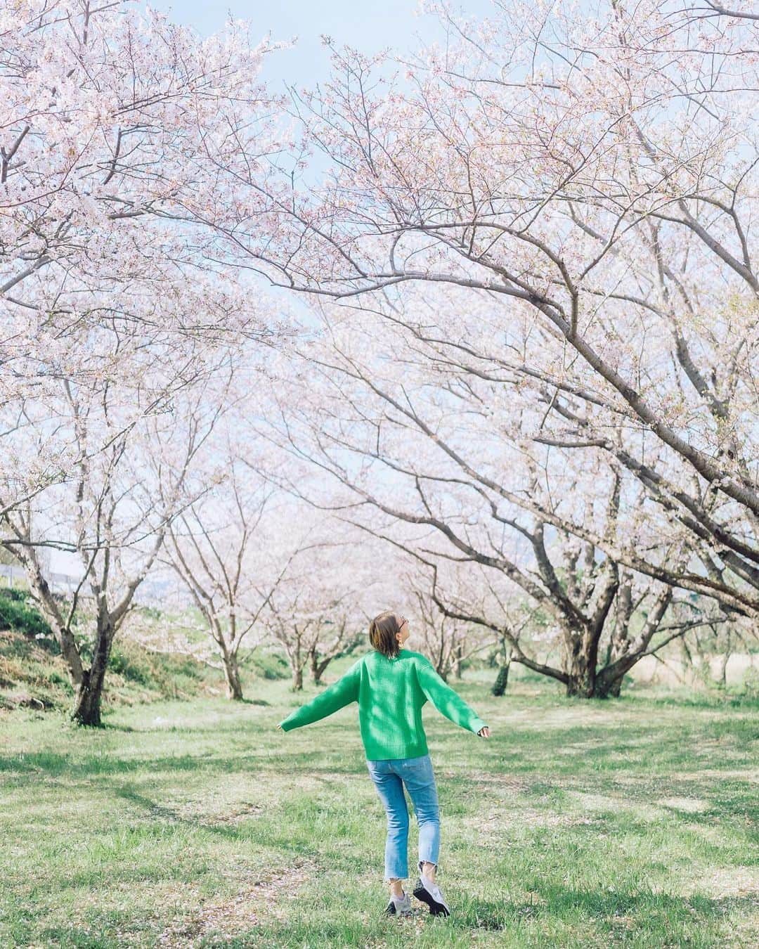 AZさんのインスタグラム写真 - (AZInstagram)「🌸🌸🌸🌿  引きこもりっぱなしで絶賛煮詰まってた所に 辺り一面ピンクとグリーンの景色。 はぁーー癒されたーー  今年の桜も綺麗だったね。 最高のお天気、ありがとう💓  📸 @studiodandm」4月4日 16時41分 - az.momoharu