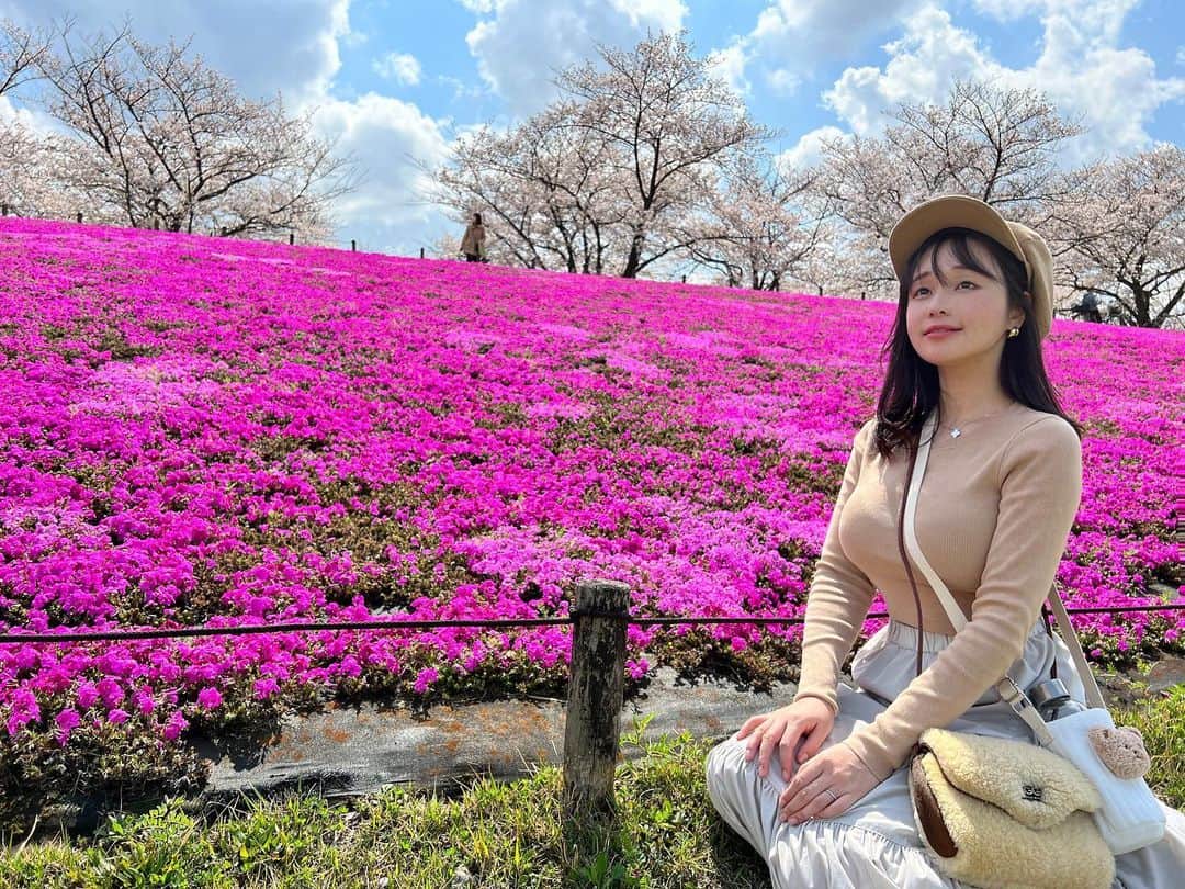 茜さやさんのインスタグラム写真 - (茜さやInstagram)「桜と芝桜🥰  #桜　#🌸　#さくら　#桜スポット #お花見　#花見　#芝桜　#ソメイヨシノ　#ソメイヨシノ🌸 #sakura #cherryblossom #japan #japanese」4月5日 2時11分 - saya.akane