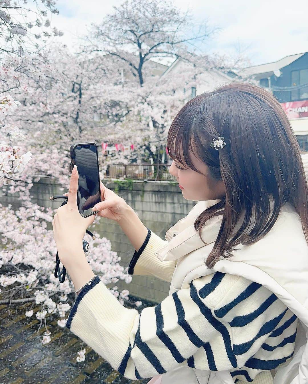 村上ゆりのインスタグラム：「🌸 ・ ・ ・ 北海道から父が遊びにきたので、一緒に目黒川へ💭 桜が満開で春を感じてきたよ〜☺️ みなさんは今年お花見行きましたか？🌸 ・  #ポートレート #smile #笑顔 #幸せ #happy #☀ #❤️ #selfie  #東京 #japanesegirl #japanese  #coordinate #イエベ春 #骨格ナチュラル #new #thankyou  #ファッション  #コーディネイト #fashion  #2023 #春コーデ #ss23 #桜 #cherryblossom」