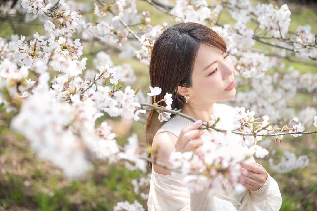 Mikaのインスタグラム：「cherry blossom paradise  🌸🌸🌸  四国は桜が満開見頃で素晴らしかった(о´∀`о) 明日は茨城の水戸に行きます。 桜どうかな？  ・ ・ ・ photo by @ryouta_portfolio 📸 model @mikarin_portrait  ・ ・ ・ ・ follow me💋  #美花展 #桜ポートレート #桜撮影 #ソメイヨシノ満開  #桜が満開  #桜が好き  #誰かの記憶に残る写真 #カメラ好きな人と繋がりたい #ファインダー越しの私の世界 #ポトレファン倶楽部 #被写体モデル #その瞬間は永遠の思い出 #みんなのフォト #ポトレ女子 #撮影依頼募集中 #japanesegirl #asianbeauty #love_camera_club #jp_portrait_collection #japanesecherry #cherryblossomseason  #photo_shorttrip #_lovely_weekend #japan_art_photography #portraitfestival #portraitinlove #portrait_mood #exclusive_world_portrait  #instagood #instagramjapan」
