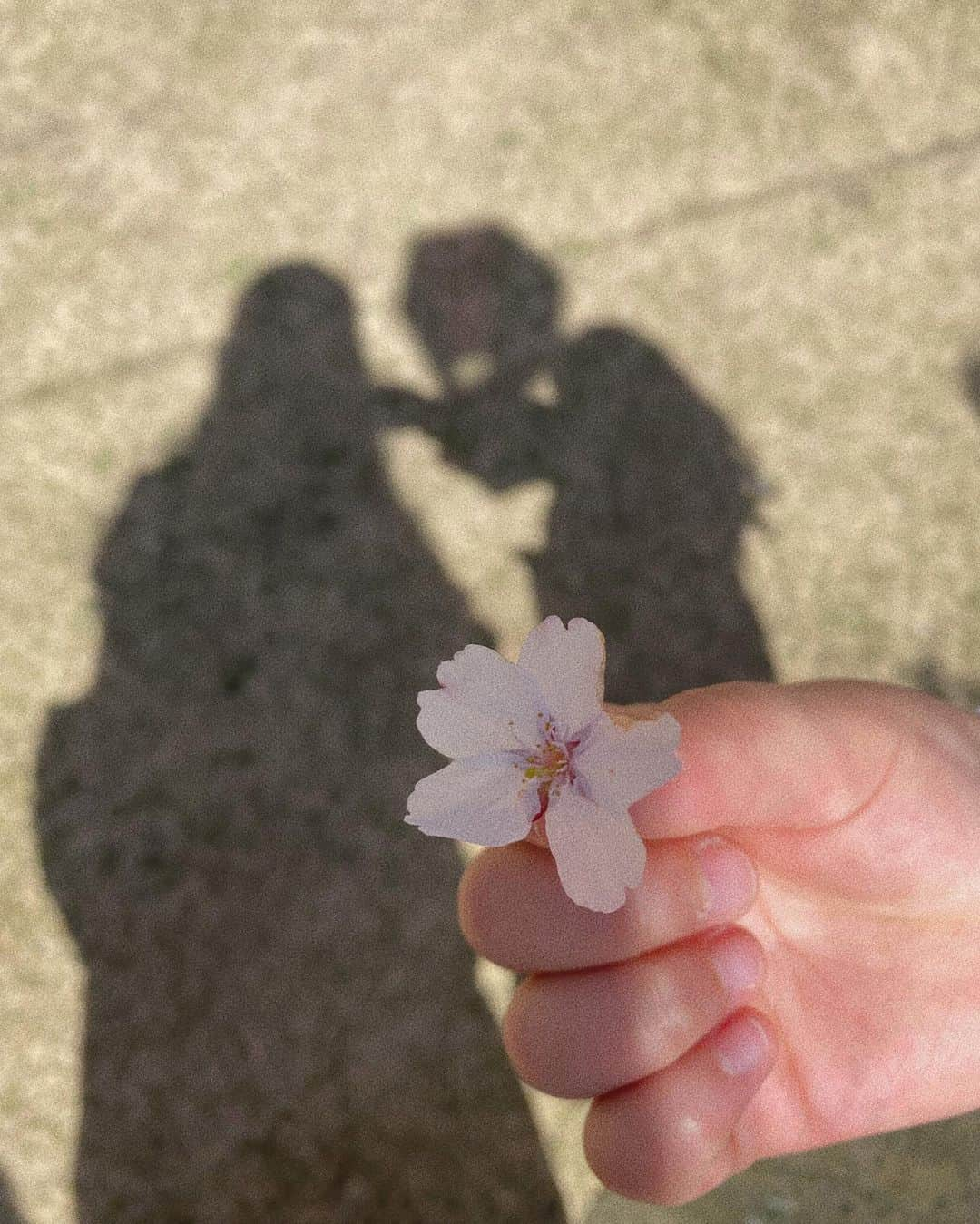 manamisotayutaさんのインスタグラム写真 - (manamisotayutaInstagram)「お花見🌸  ここの桜がほんとにキレイで🌸✨ 毎年楽しみ💕    #お花見#お花見コーデ  #親子コーデ #おやこーで #ワンピースコーデ #桜#満開の桜  #ママコーデ#アラフォーコーデ #locari#mamagirl #mineby3mootd  #大人カジュアル #大人コーデ#ジーユーコーデ  #guコーデ」4月4日 18時54分 - manamisotayuta