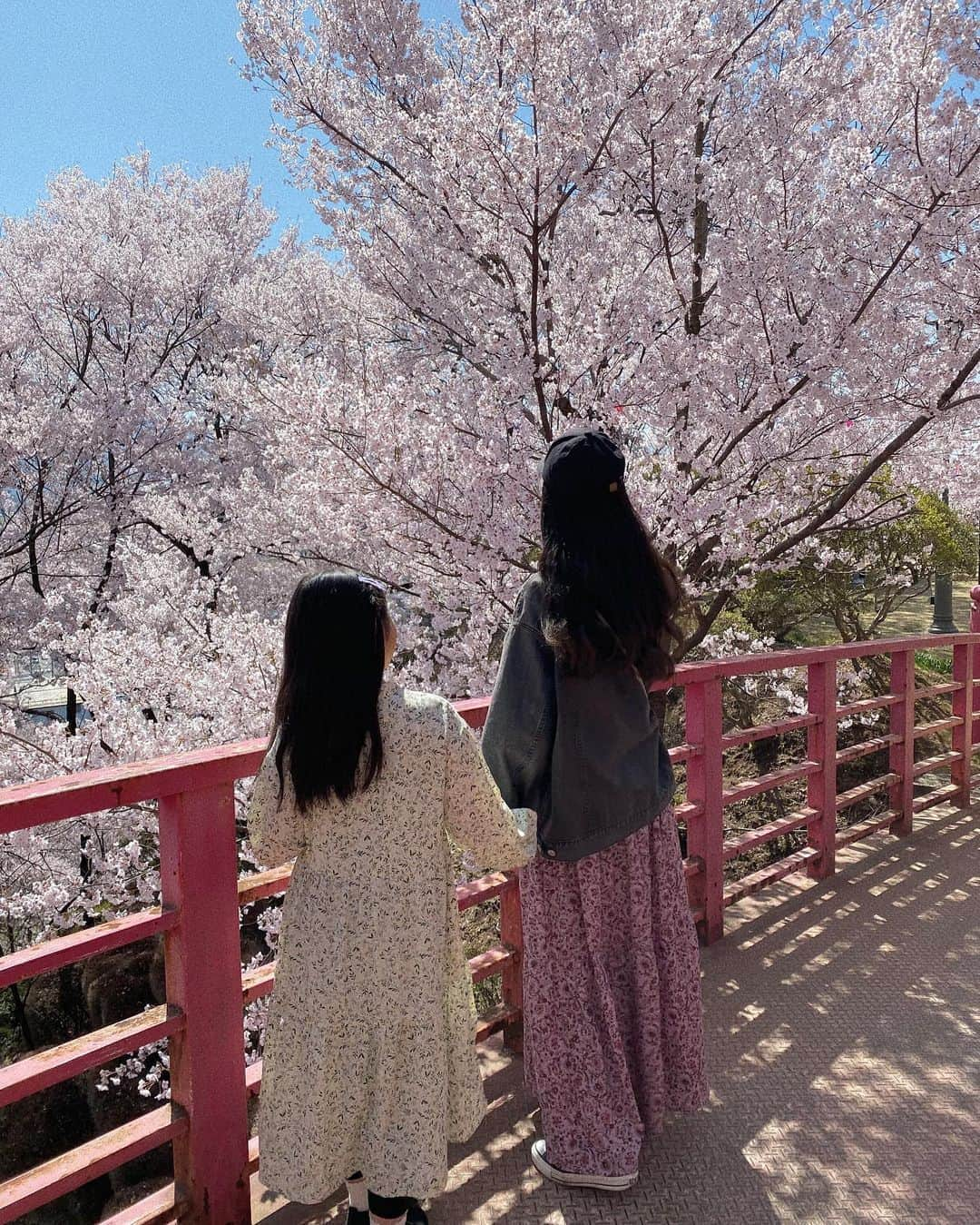 manamisotayutaさんのインスタグラム写真 - (manamisotayutaInstagram)「お花見🌸  ここの桜がほんとにキレイで🌸✨ 毎年楽しみ💕    #お花見#お花見コーデ  #親子コーデ #おやこーで #ワンピースコーデ #桜#満開の桜  #ママコーデ#アラフォーコーデ #locari#mamagirl #mineby3mootd  #大人カジュアル #大人コーデ#ジーユーコーデ  #guコーデ」4月4日 18時54分 - manamisotayuta