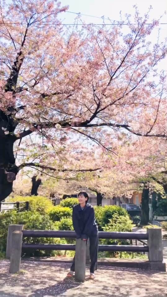 永池南津子のインスタグラム：「葉桜もとても良い。 あぁ春だなぁ。 #spring  #春 #桜 #sakura #お花見 #ohanami #2023年春  ビール日和でしたね。 この後もちろん飲みました。」