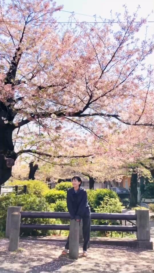 のインスタグラム：「葉桜もとても良い。 あぁ春だなぁ。 #spring  #春 #桜 #sakura #お花見 #ohanami #2023年春  ビール日和でしたね。 この後もちろん飲みました。」