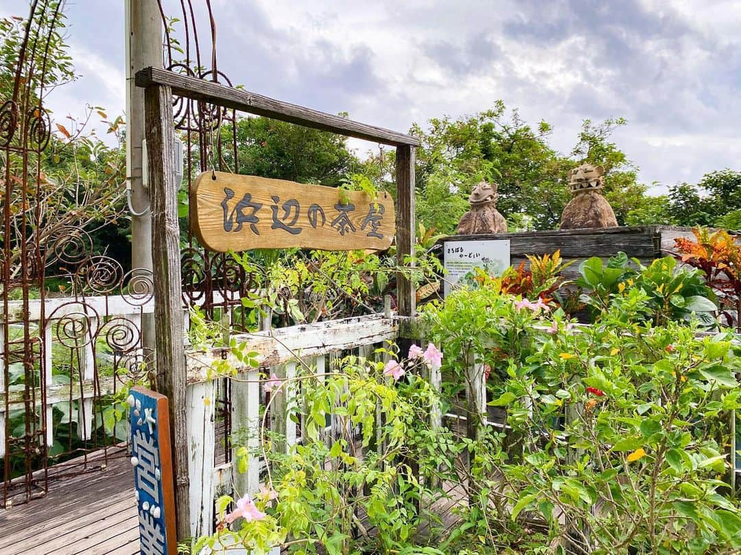 しほこのインスタグラム：「❤︎* ⁡ ⁡ ⁡ 浜辺の茶屋🌈 ⁡ ⁡ 目の前に海が広がる絶景カフェ☕️🤍 ゆっくり過ごす時間が幸せでした☺️🍰 ⁡ ⁡ #新婚旅行 #新婚 #ハネムーン #honeymoon #沖縄 #沖縄旅行 #沖縄観光 #okinawa #旅行 #浜辺の茶屋 #カフェ #沖縄カフェ #絶景カフェ #テラス席のあるカフェ #モーニング #海カフェ #絶景 #cafe #シフォンケーキ #okinawabeach #20221117」