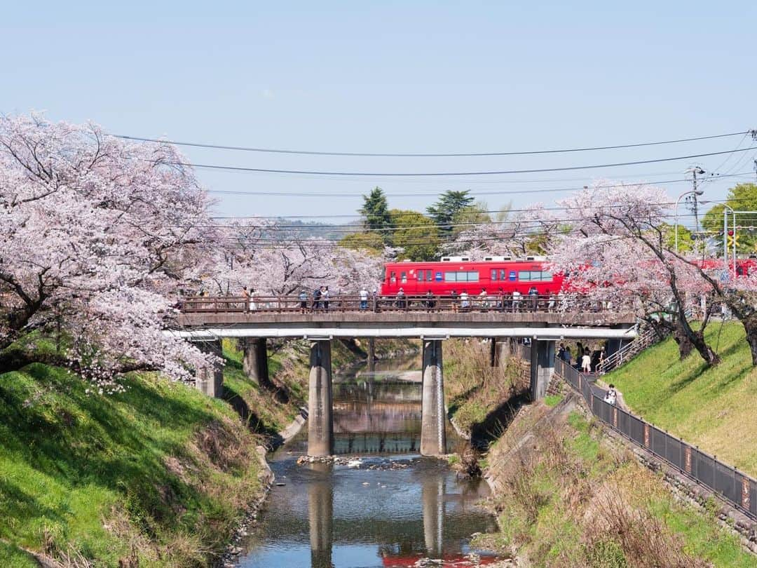 加藤千暁さんのインスタグラム写真 - (加藤千暁Instagram)「今年も花見出来たー🌸 葉桜の所で花びらたくさん舞うのも ピンクのもふもふの桜も きれーだったーーー✨✨ #お花見 #桜#さくら#sakura」4月4日 19時13分 - chiaki525