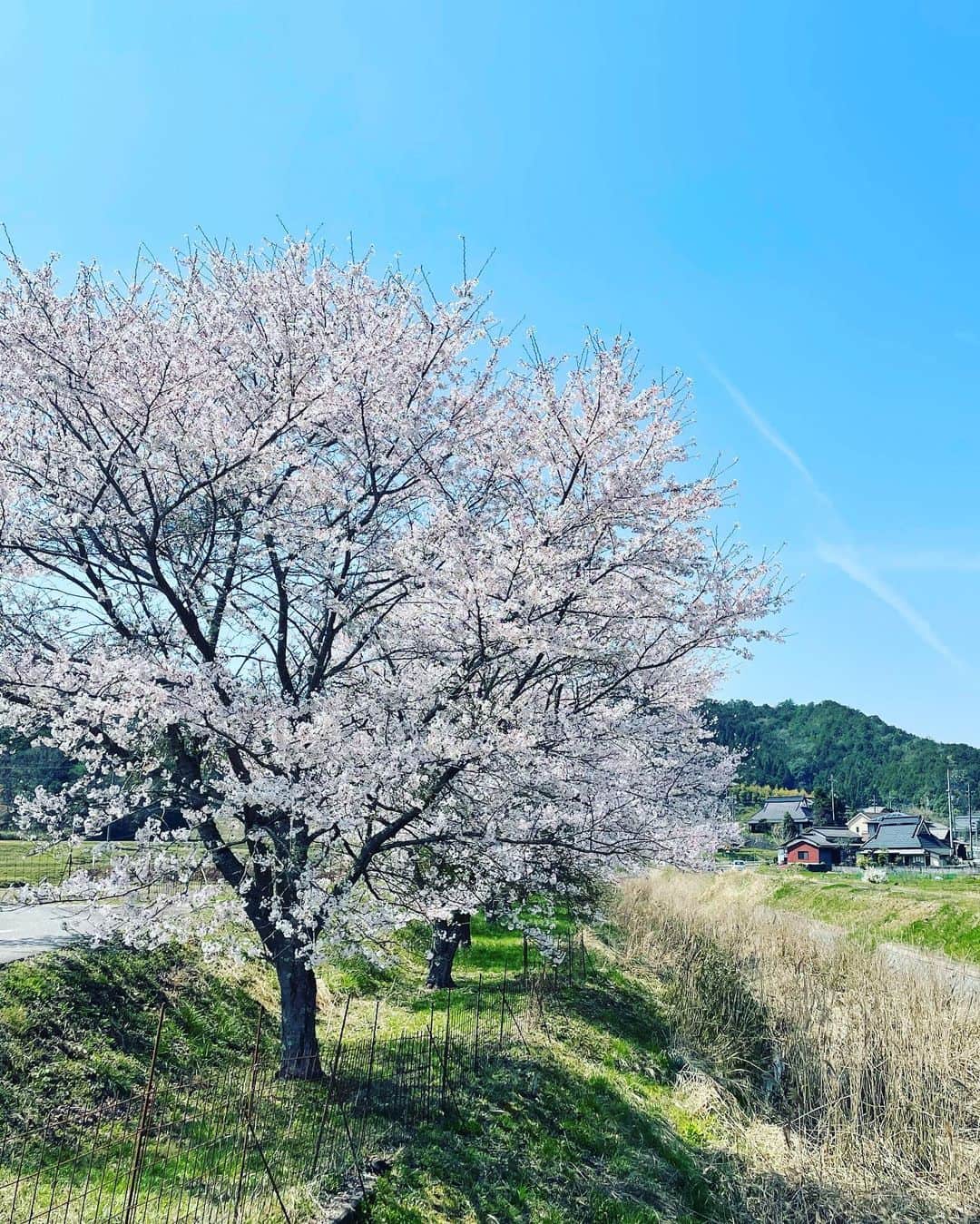 宮田麺児さんのインスタグラム写真 - (宮田麺児Instagram)「素敵なサイン会ありがとうございました。 感謝。」4月4日 19時18分 - miyatamenji