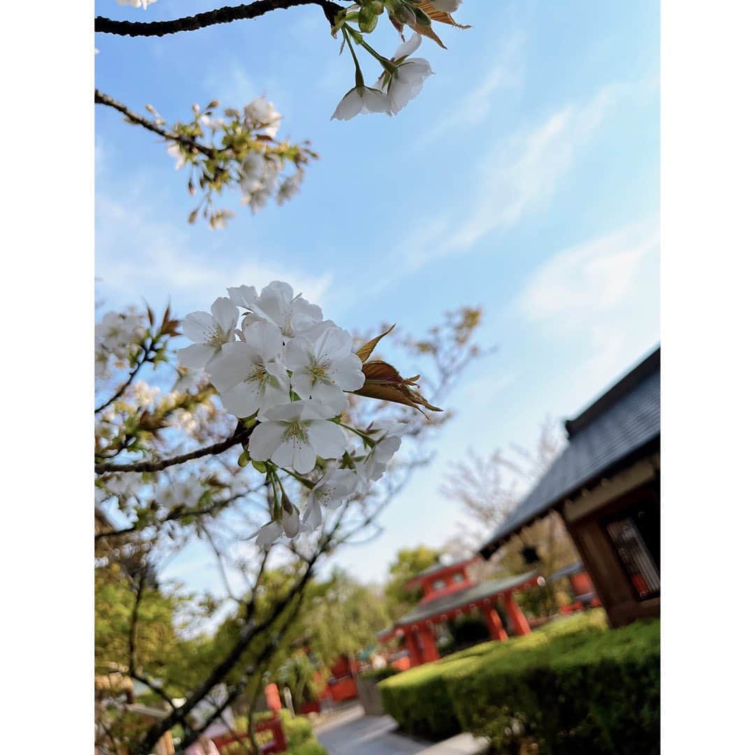 木下晴香のインスタグラム：「車折神社⛩️  行ってきました☺️ ⁡ 京都で、もし行く機会があったら 私の玉串探してみてくださいね✌️ ⁡ 大好きな人のも見つけた…😘 #豊原江理佳 ⁡ 私は元気に撮影中です！！ またお知らせします☁️」