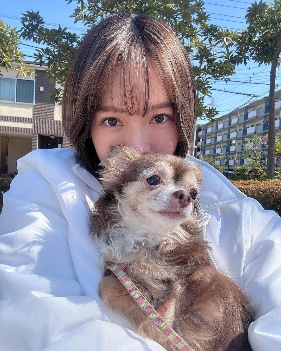 鈴木あやのインスタグラム：「散歩行っても抱っこしてとアピールしてくるアイたん🐶かわえぇ🫠❤️」