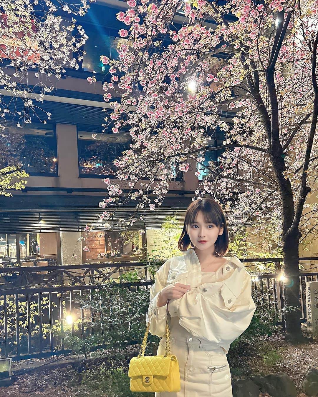 ま い ち ☺︎のインスタグラム：「京都に桜の時期に行くことが出来てとてもはぴはぴはぴ💛🐻」